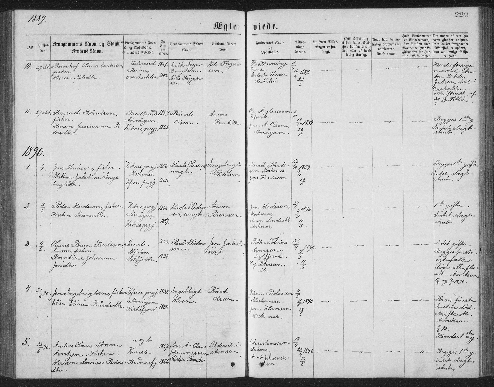 Ministerialprotokoller, klokkerbøker og fødselsregistre - Nordland, AV/SAT-A-1459/886/L1225: Parish register (copy) no. 886C02, 1874-1896, p. 229