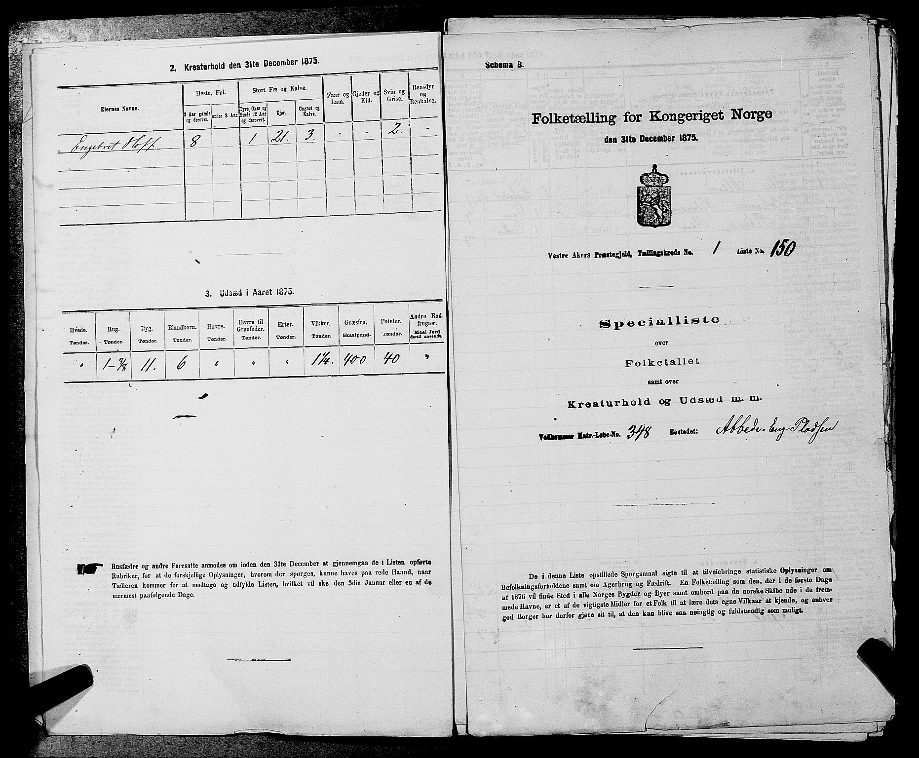 RA, 1875 census for 0218aP Vestre Aker, 1875, p. 176