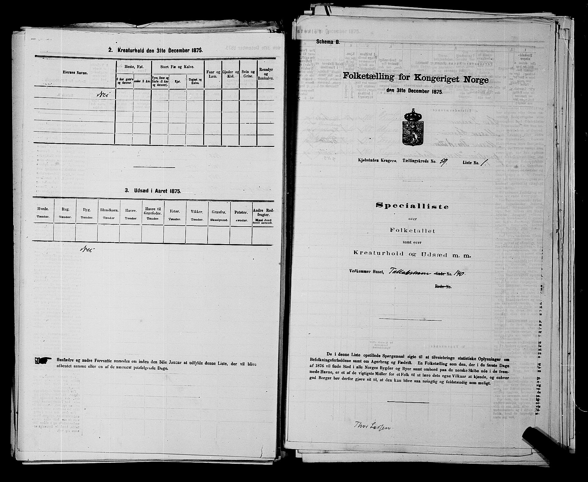 SAKO, 1875 census for 0801P Kragerø, 1875, p. 1309