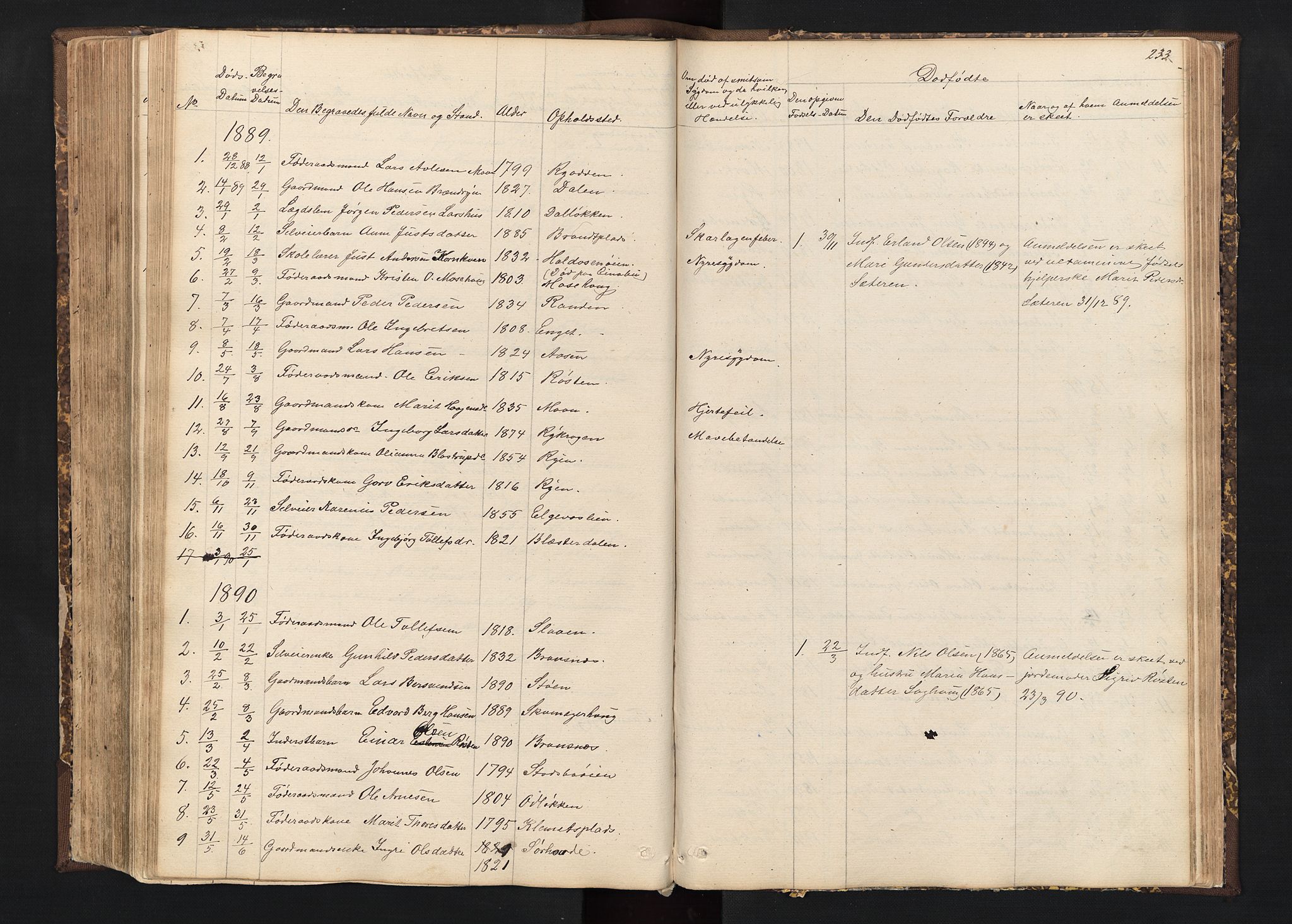 Alvdal prestekontor, SAH/PREST-060/H/Ha/Hab/L0001: Parish register (copy) no. 1, 1857-1893, p. 233