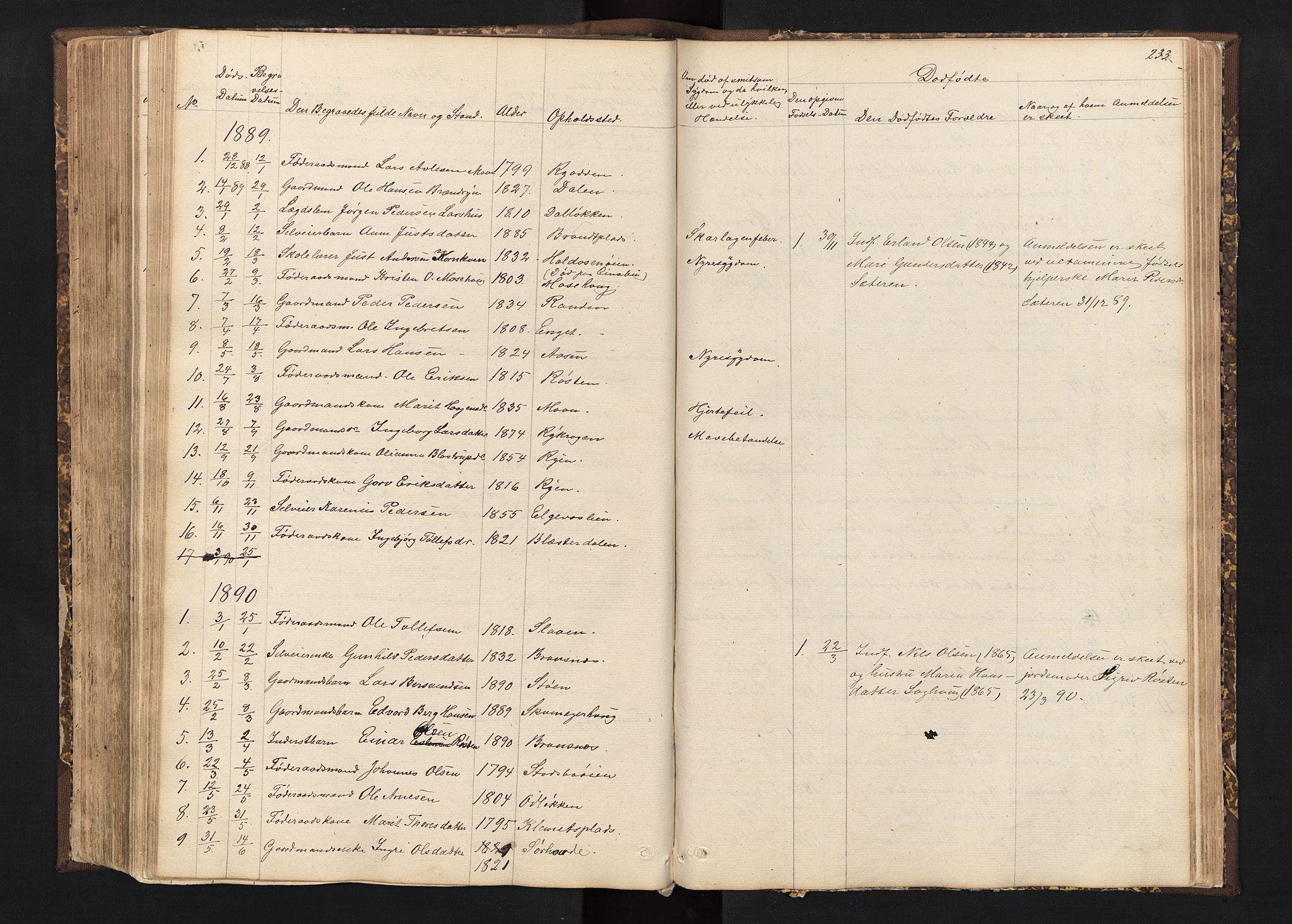 Alvdal prestekontor, AV/SAH-PREST-060/H/Ha/Hab/L0001: Parish register (copy) no. 1, 1857-1893, p. 233