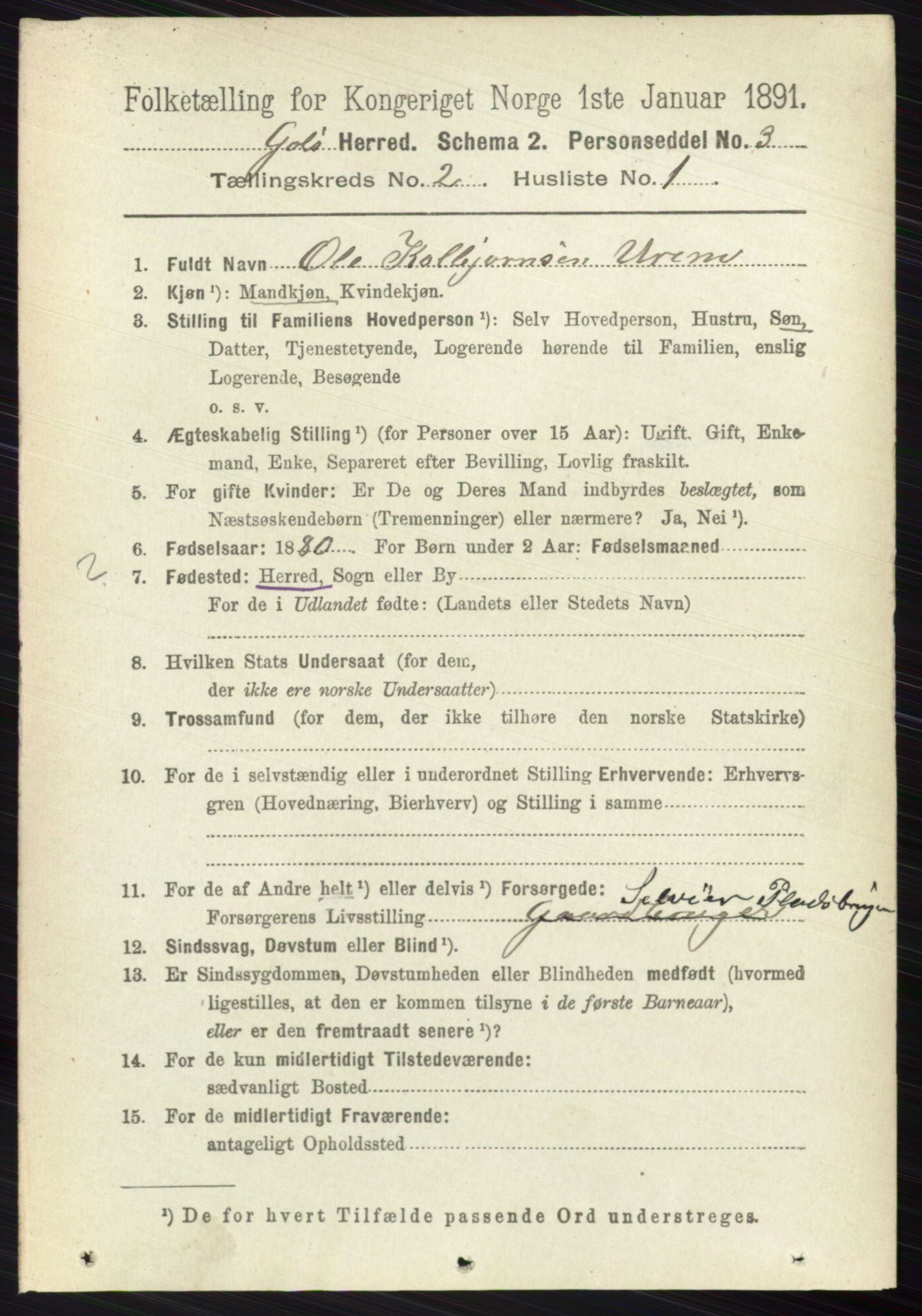 RA, 1891 census for 0617 Gol og Hemsedal, 1891, p. 716