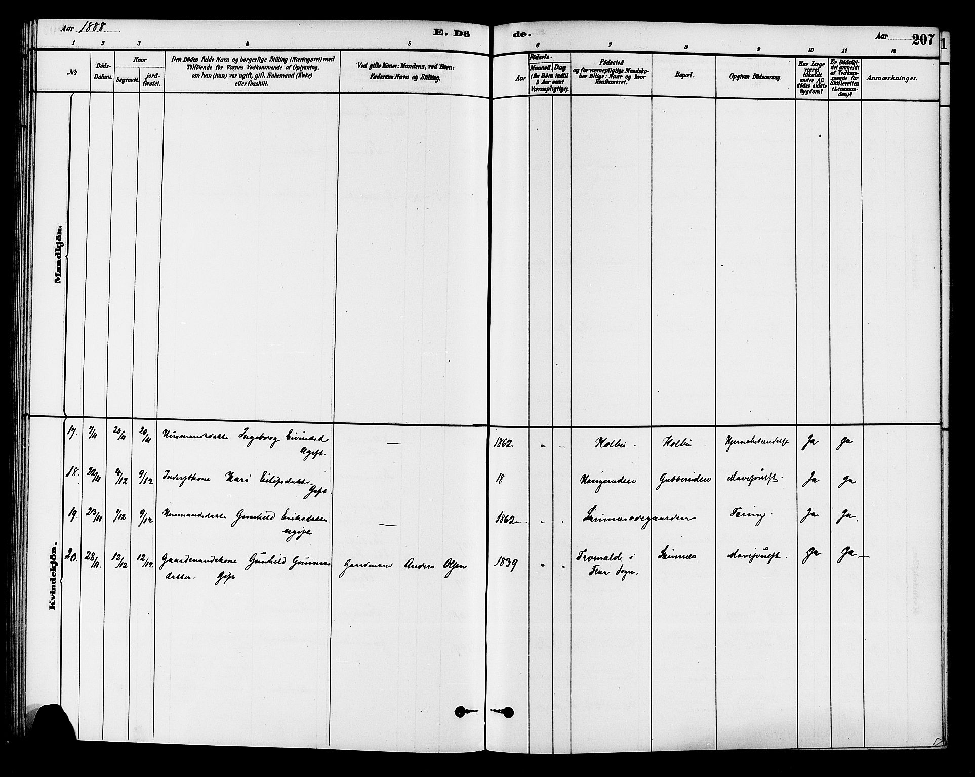 Krødsherad kirkebøker, AV/SAKO-A-19/G/Ga/L0001: Parish register (copy) no. 1, 1879-1893, p. 207