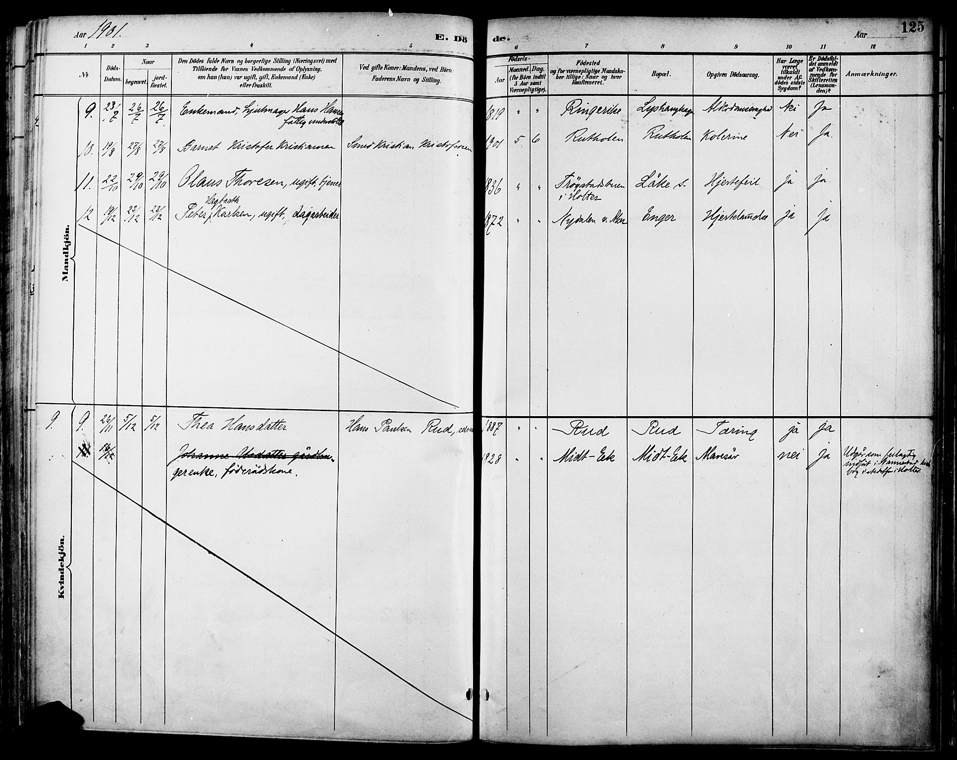 Nannestad prestekontor Kirkebøker, AV/SAO-A-10414a/F/Fa/L0015: Parish register (official) no. I 15, 1891-1905, p. 125