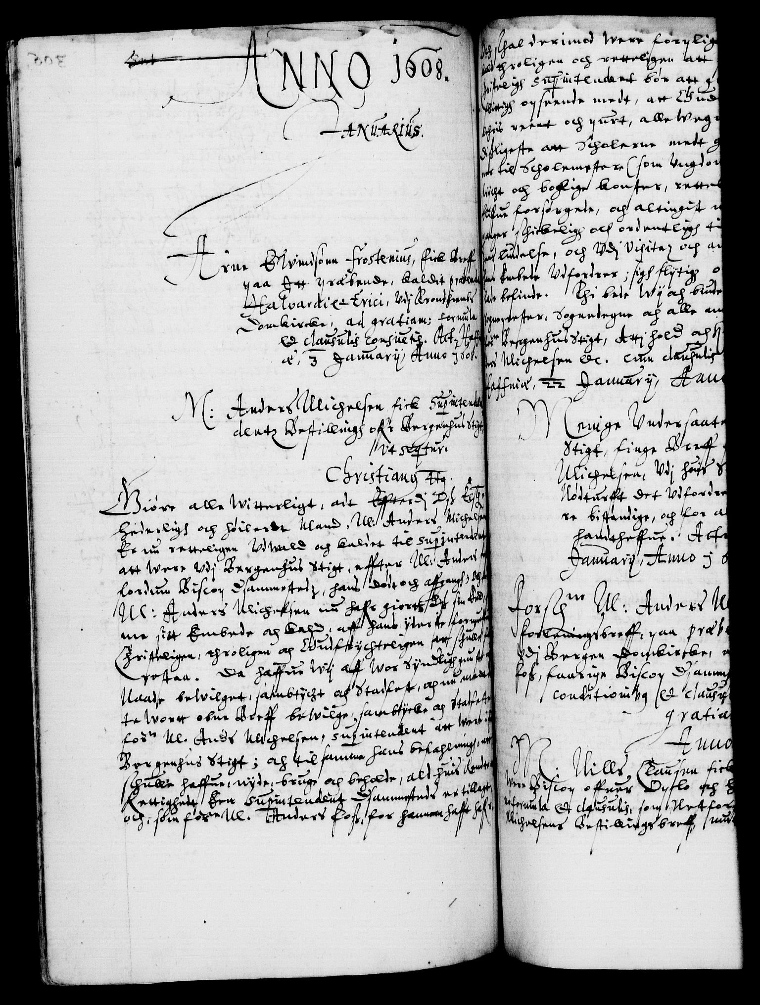 Danske Kanselli 1572-1799, RA/EA-3023/F/Fc/Fca/Fcaa/L0003: Norske registre (mikrofilm), 1596-1616, p. 306b