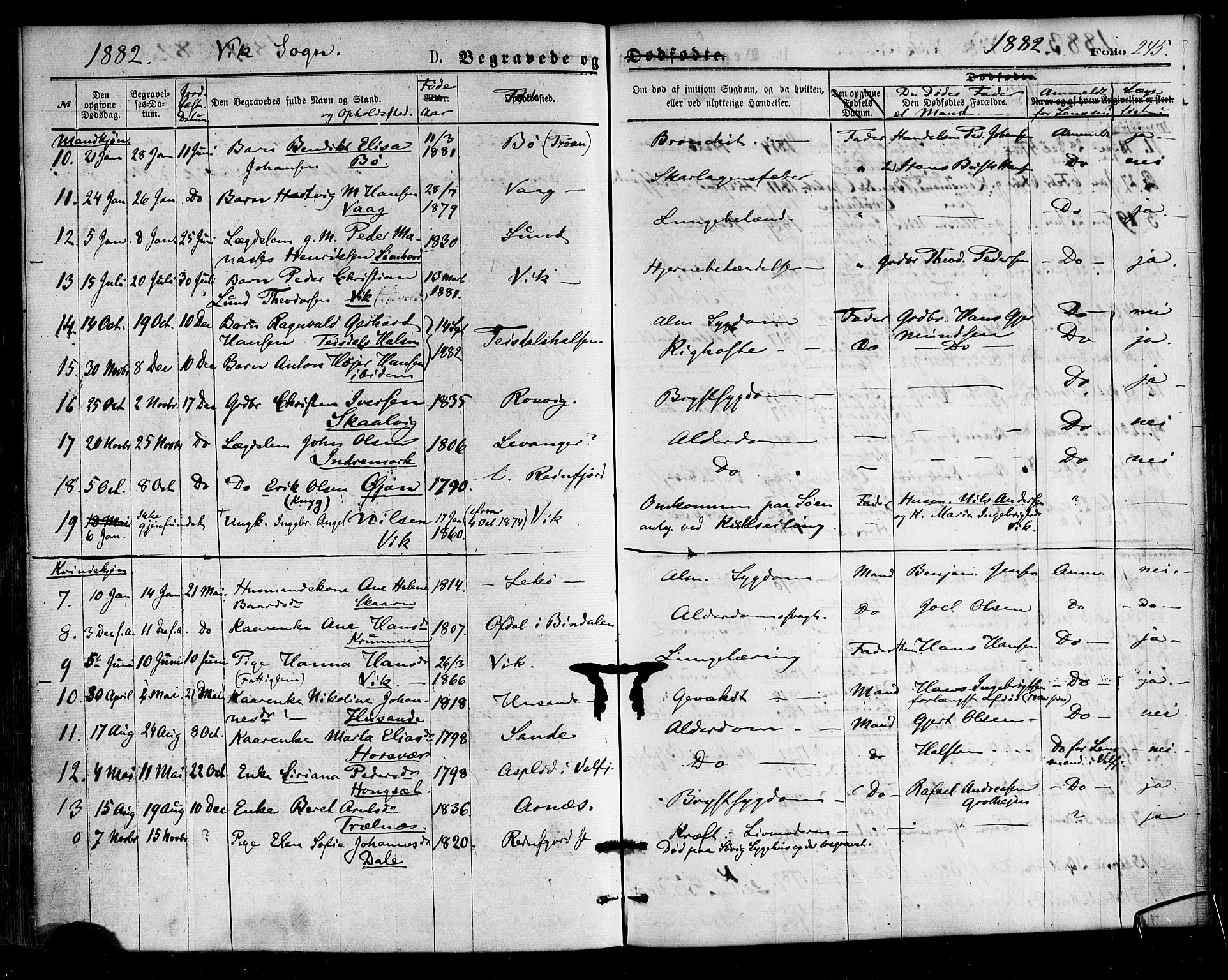 Ministerialprotokoller, klokkerbøker og fødselsregistre - Nordland, AV/SAT-A-1459/812/L0177: Parish register (official) no. 812A06, 1875-1885, p. 245