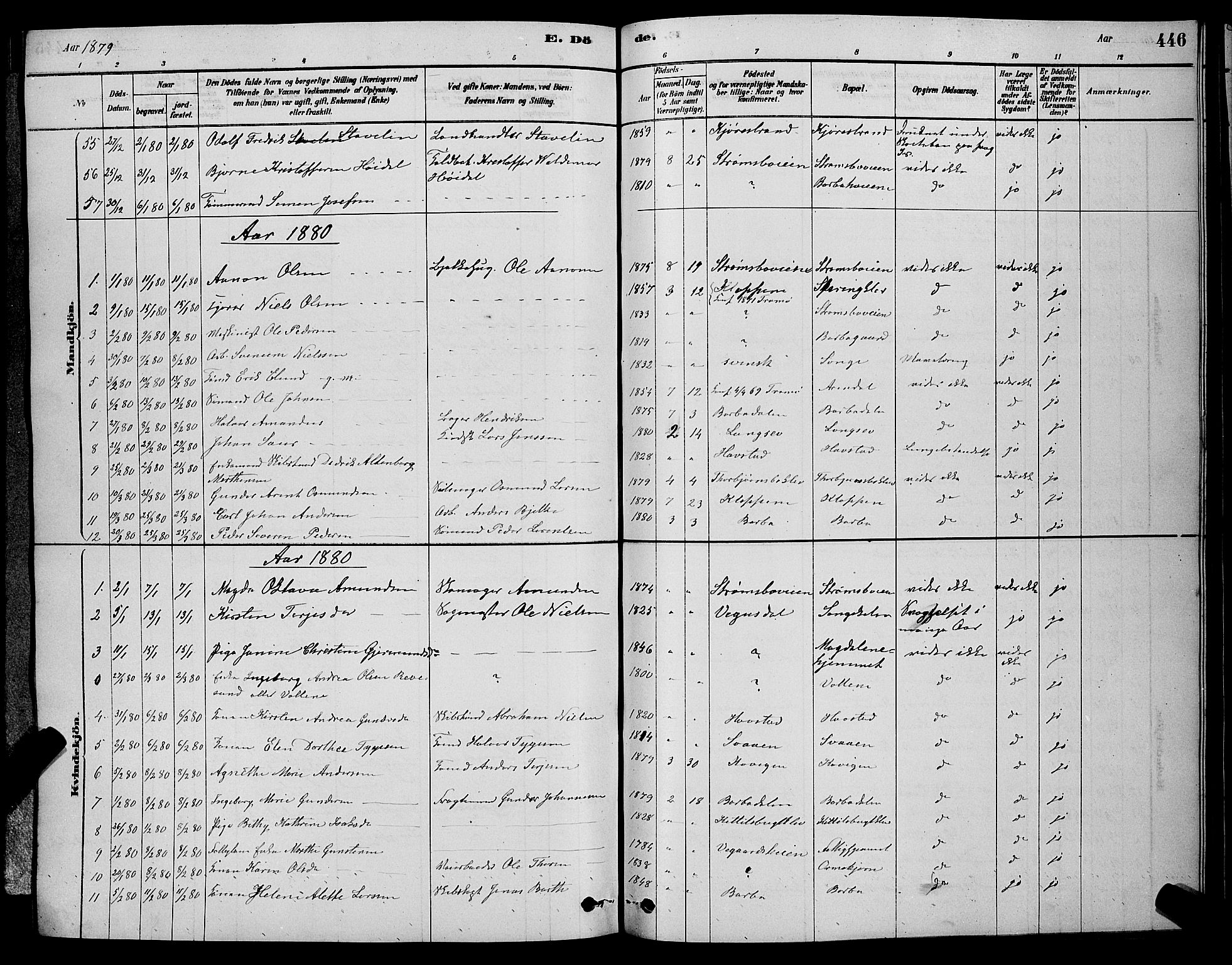 Barbu sokneprestkontor, SAK/1111-0003/F/Fb/L0001: Parish register (copy) no. B 1, 1878-1890, p. 446