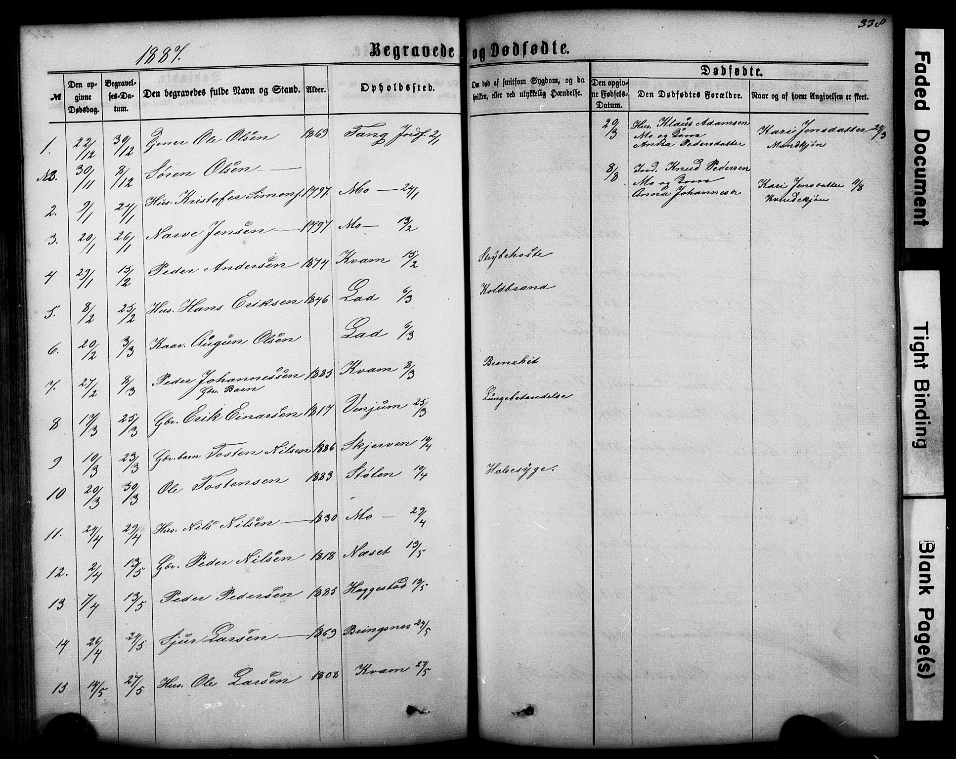 Hafslo sokneprestembete, SAB/A-80301/H/Hab/Haba/L0001: Parish register (copy) no. A 1, 1866-1908, p. 338