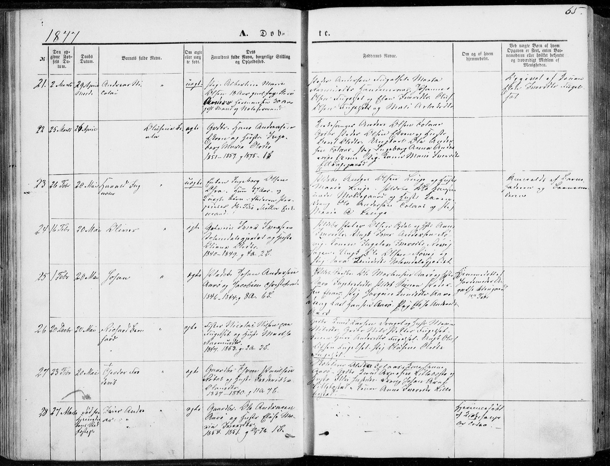 Ministerialprotokoller, klokkerbøker og fødselsregistre - Møre og Romsdal, SAT/A-1454/555/L0655: Parish register (official) no. 555A05, 1869-1886, p. 65