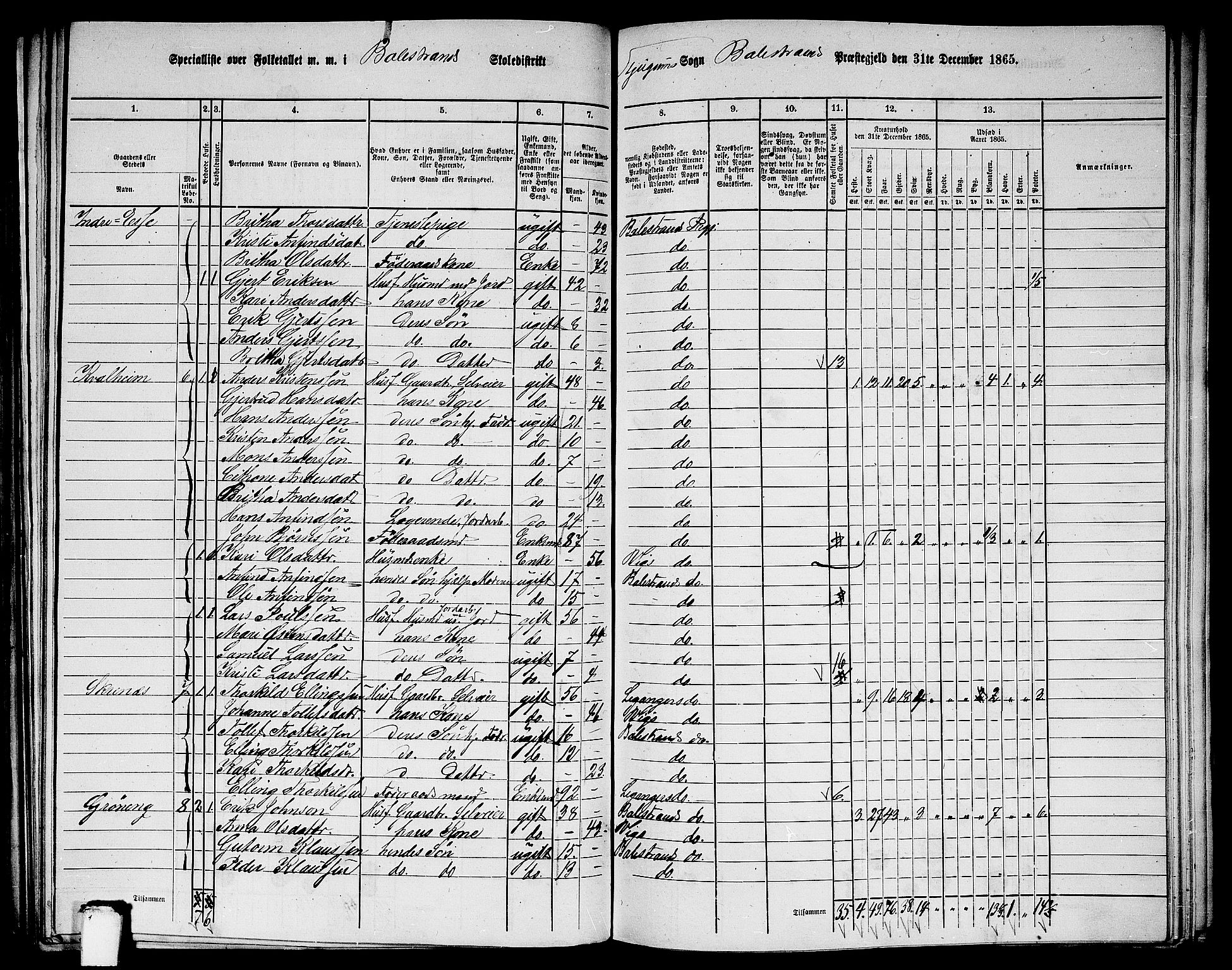 RA, 1865 census for Balestrand, 1865, p. 22