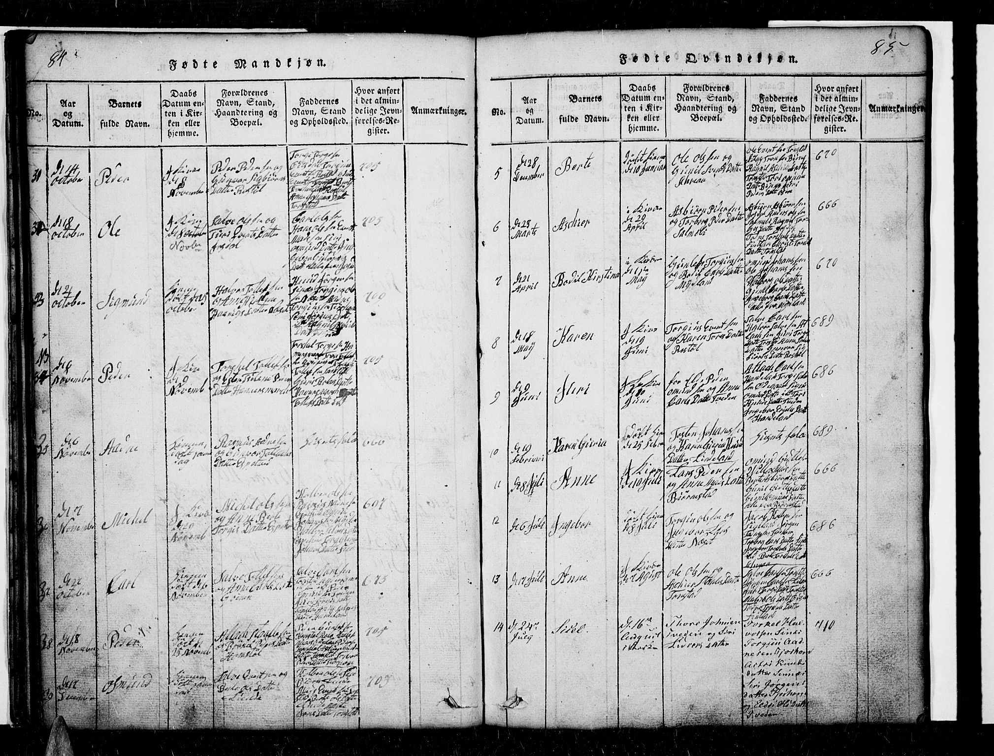 Sirdal sokneprestkontor, SAK/1111-0036/F/Fb/Fbb/L0001: Parish register (copy) no. B 1, 1815-1834, p. 84-85