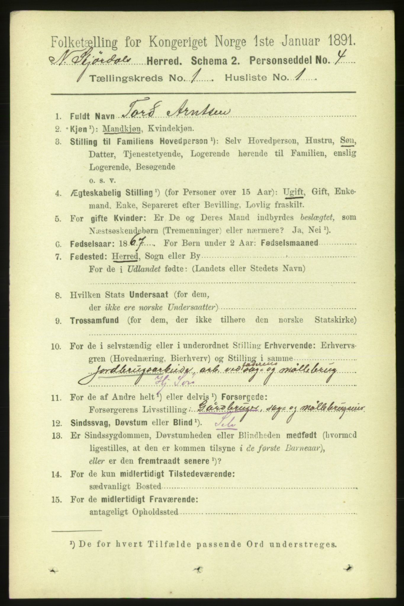 RA, 1891 census for 1714 Nedre Stjørdal, 1891, p. 100