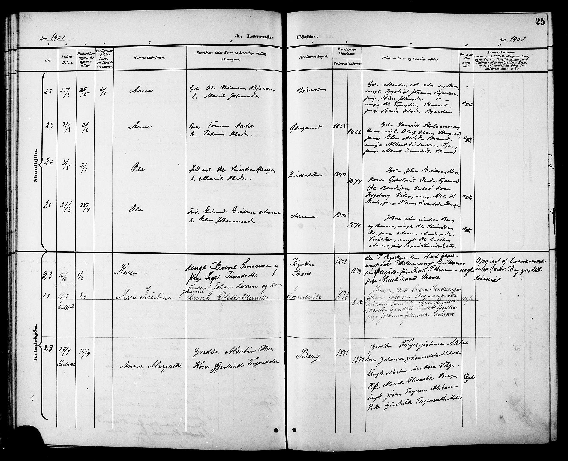 Ministerialprotokoller, klokkerbøker og fødselsregistre - Sør-Trøndelag, AV/SAT-A-1456/630/L0505: Parish register (copy) no. 630C03, 1899-1914, p. 25