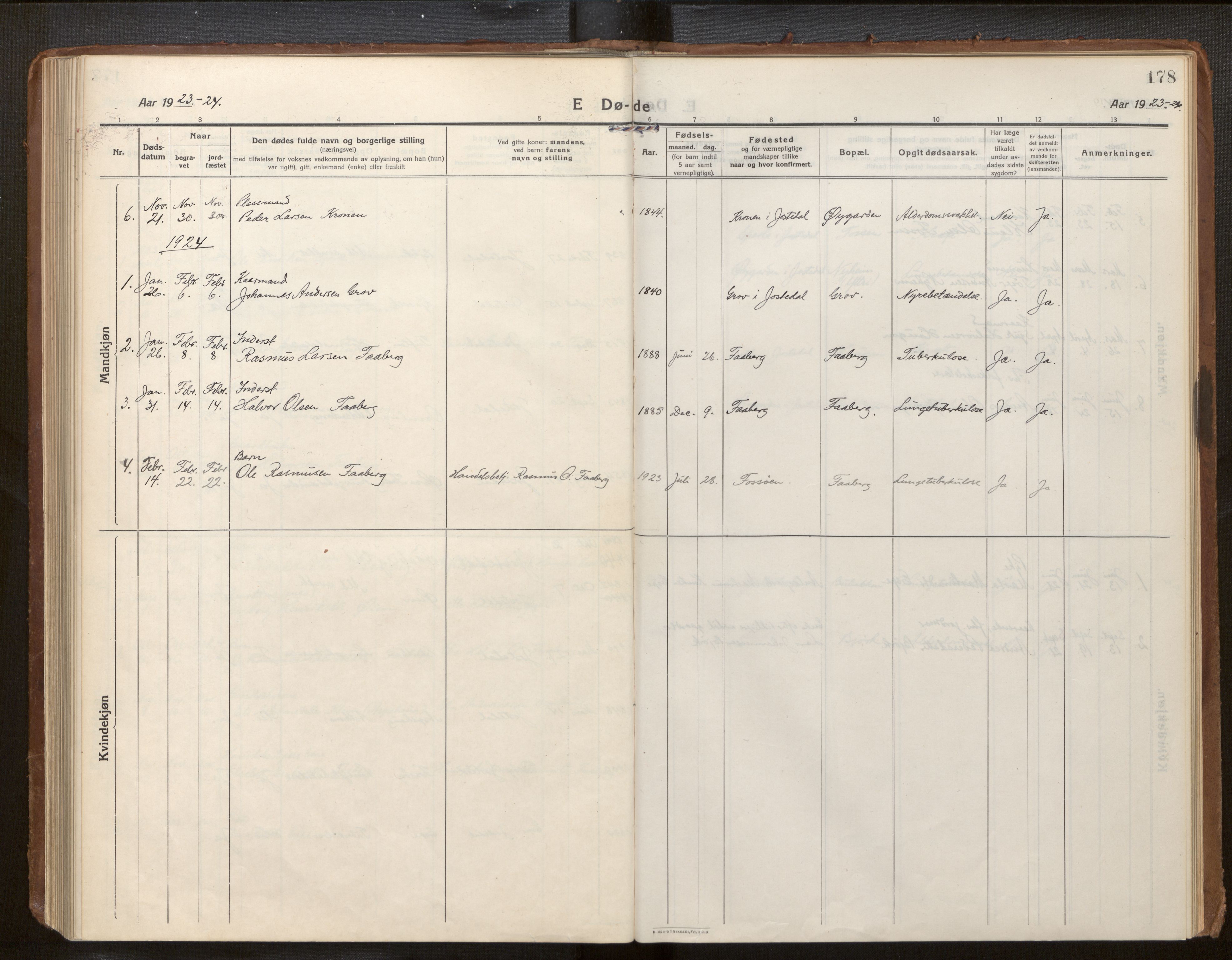 Jostedal sokneprestembete, SAB/A-80601/H/Haa/Haab/L0002: Parish register (official) no. B 2, 1915-1931, p. 178