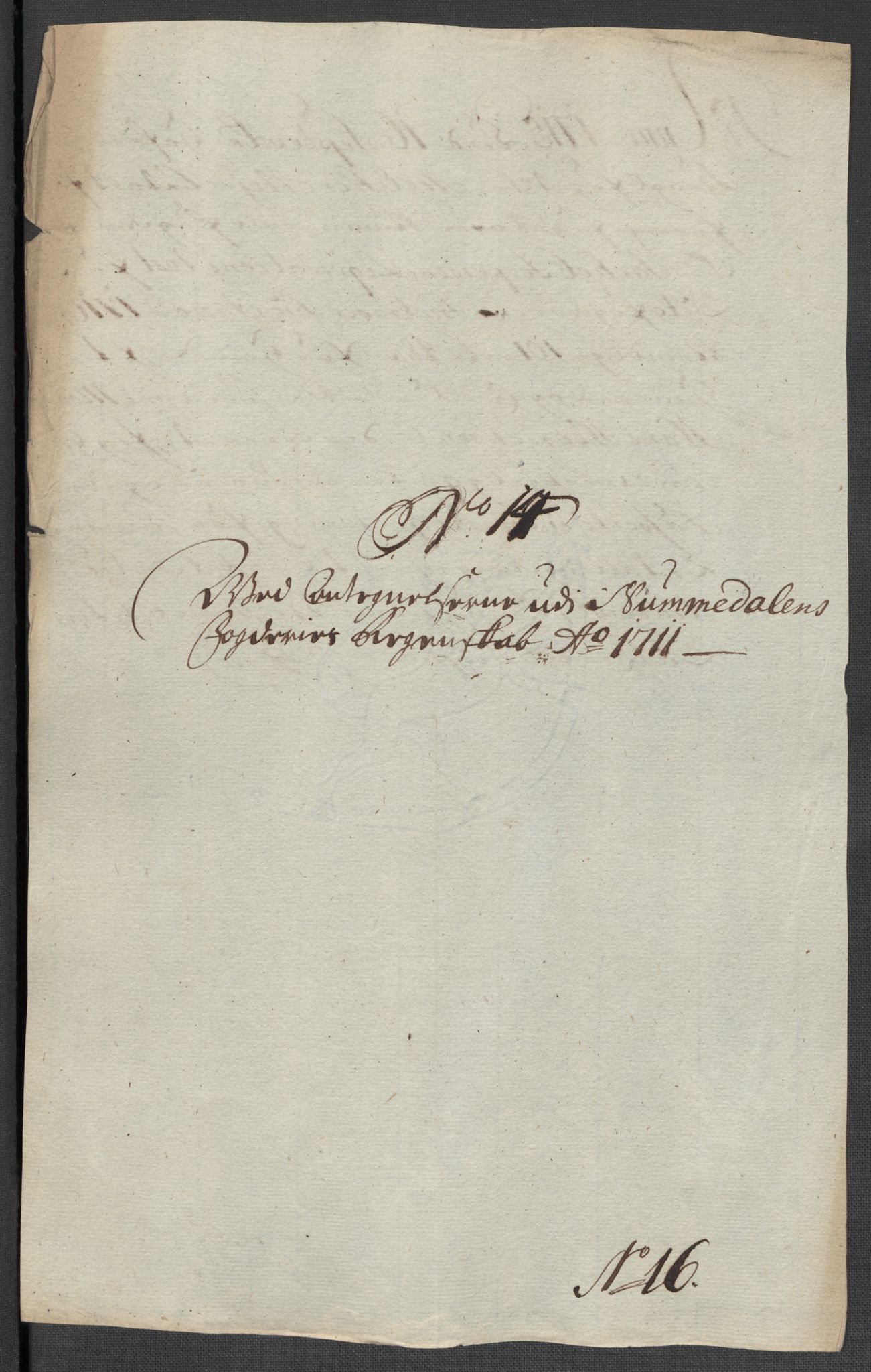 Rentekammeret inntil 1814, Reviderte regnskaper, Fogderegnskap, RA/EA-4092/R64/L4432: Fogderegnskap Namdal, 1711, p. 294