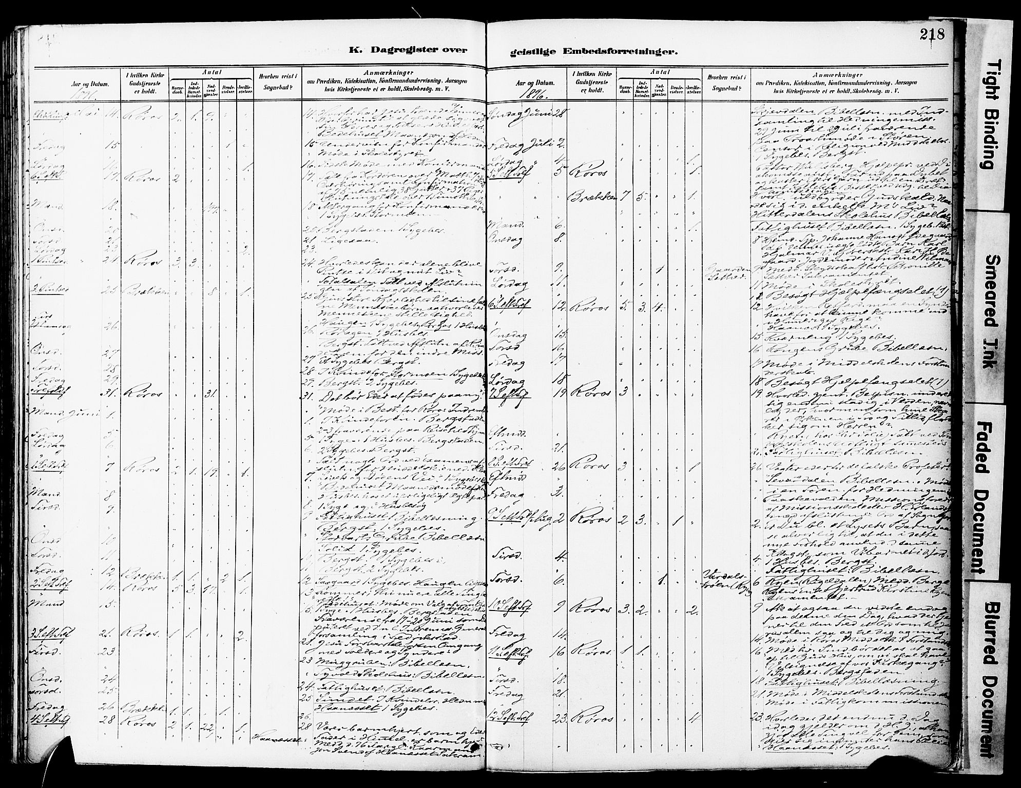 Ministerialprotokoller, klokkerbøker og fødselsregistre - Sør-Trøndelag, AV/SAT-A-1456/681/L0935: Parish register (official) no. 681A13, 1890-1898, p. 218