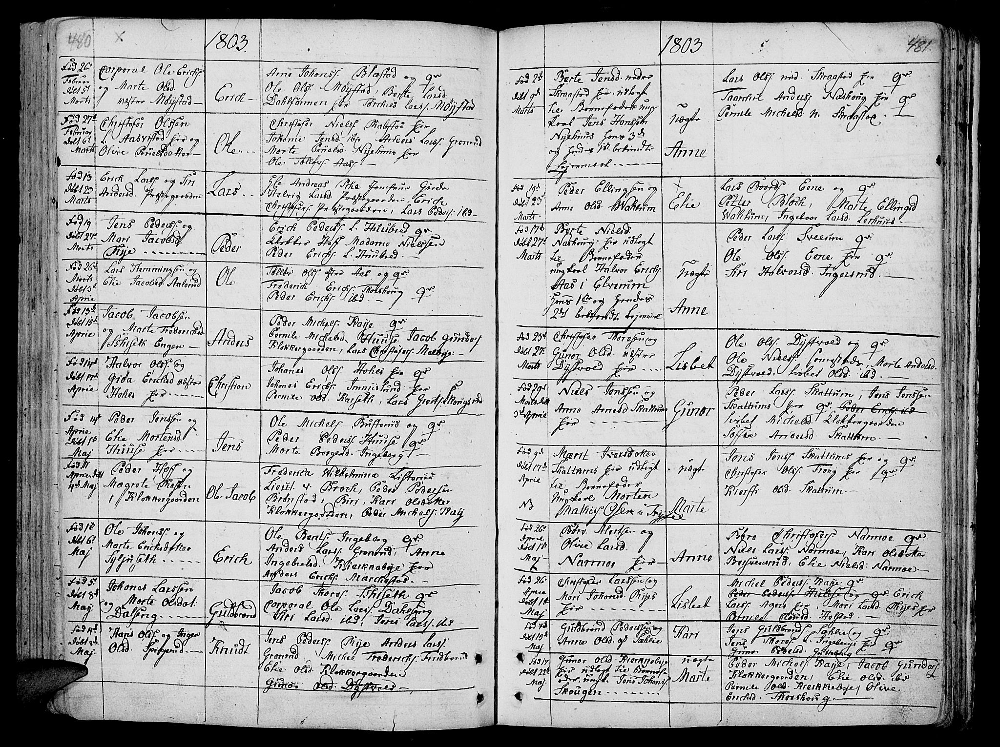 Vang prestekontor, Hedmark, AV/SAH-PREST-008/H/Ha/Haa/L0005: Parish register (official) no. 5, 1732-1809, p. 480-481