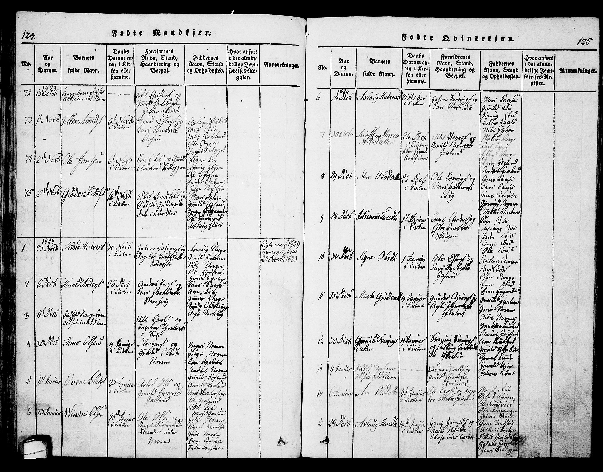 Bø kirkebøker, SAKO/A-257/G/Ga/L0001: Parish register (copy) no. 1, 1815-1831, p. 124-125