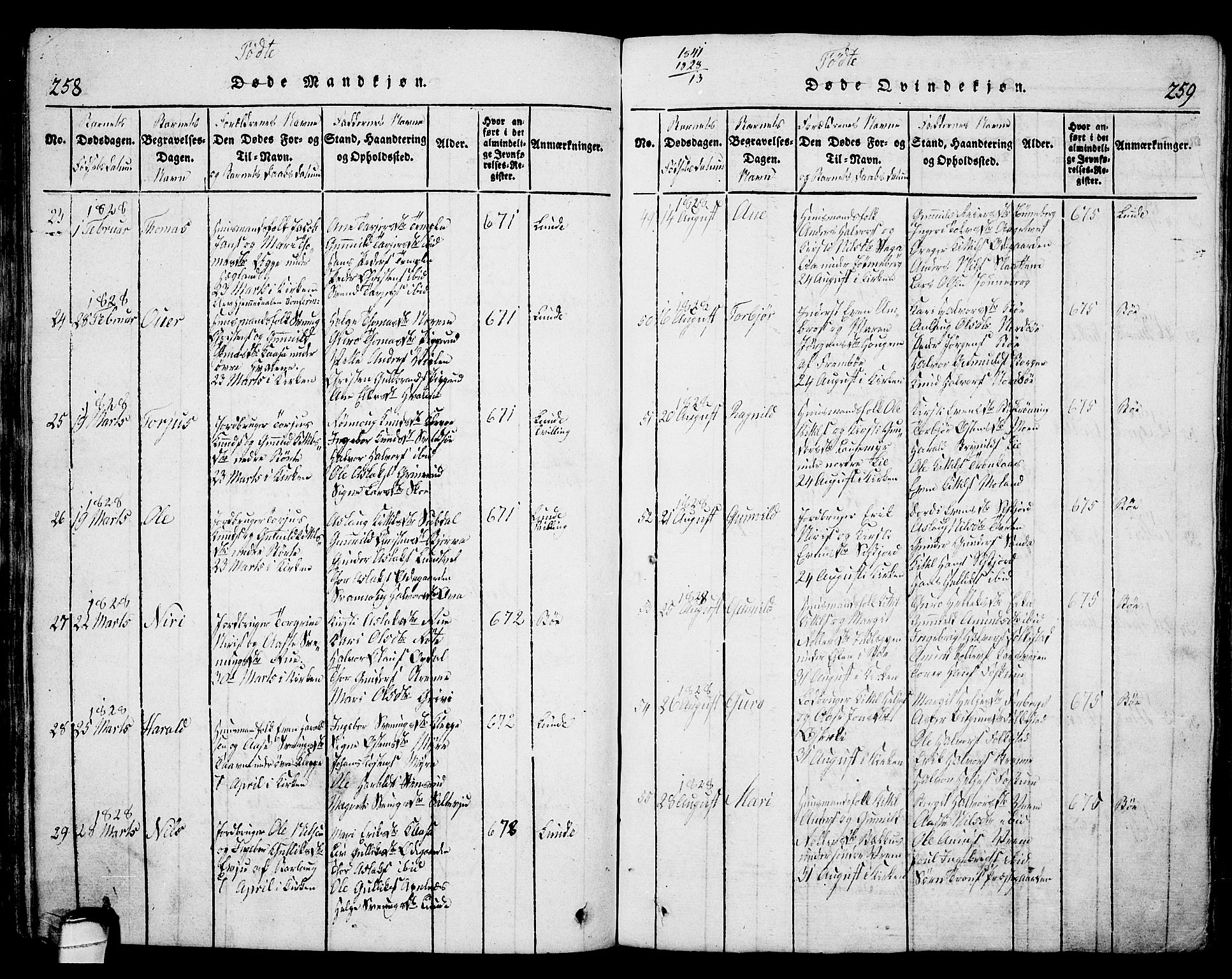 Bø kirkebøker, AV/SAKO-A-257/G/Ga/L0001: Parish register (copy) no. 1, 1815-1831, p. 258-259