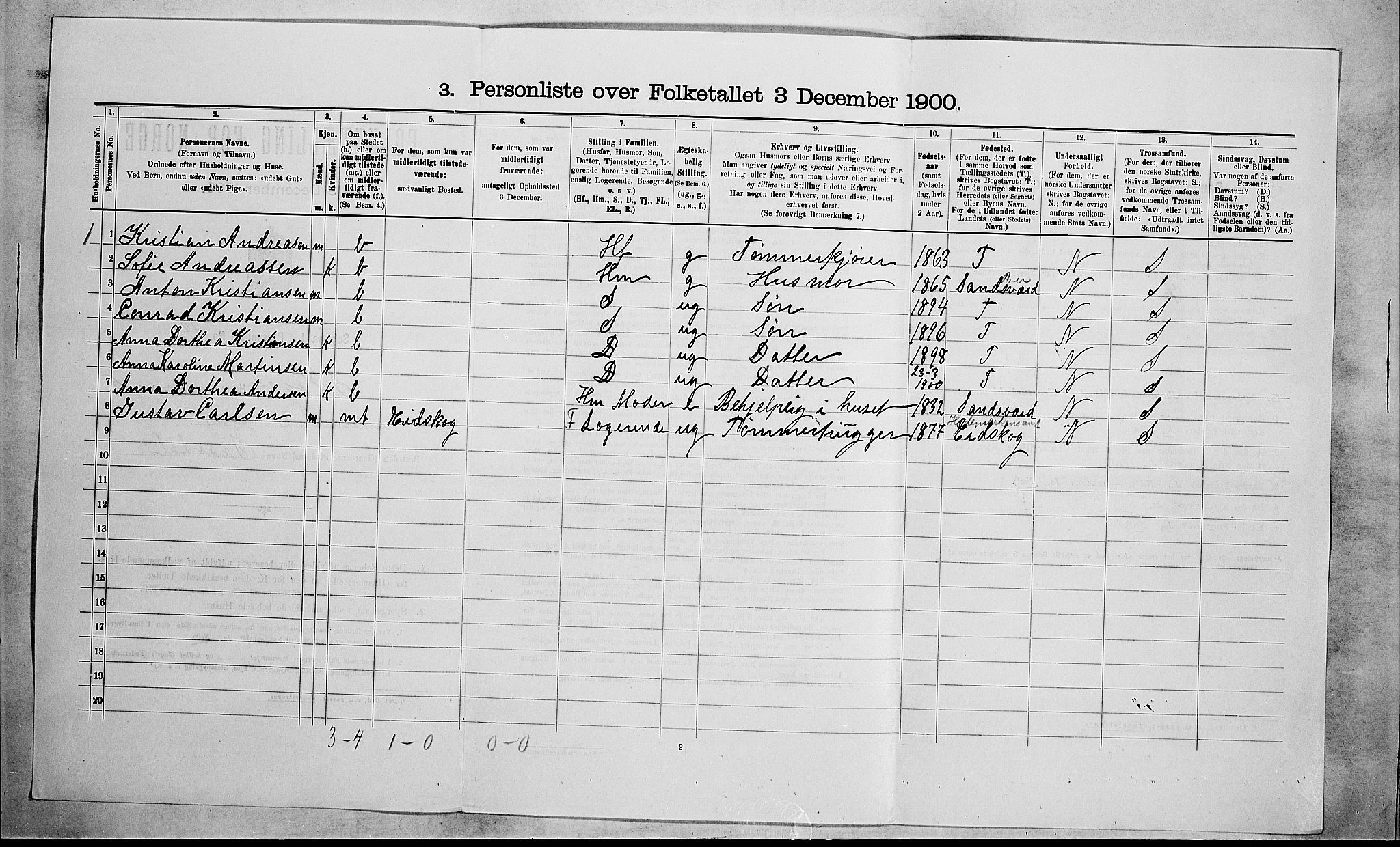 RA, 1900 census for Skoger, 1900, p. 991