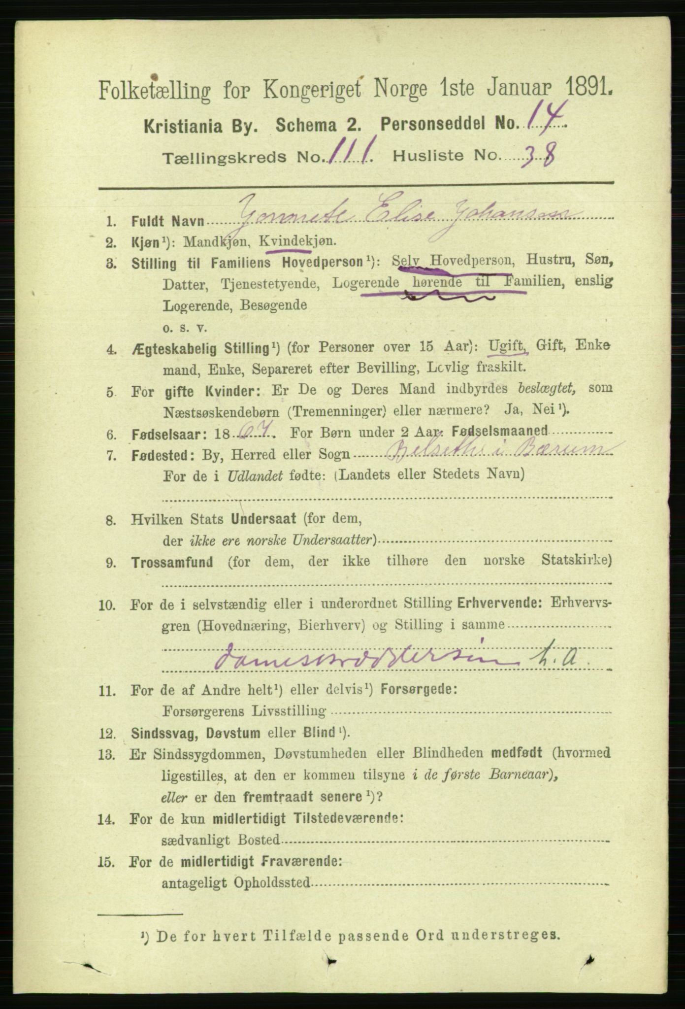 RA, 1891 census for 0301 Kristiania, 1891, p. 58934