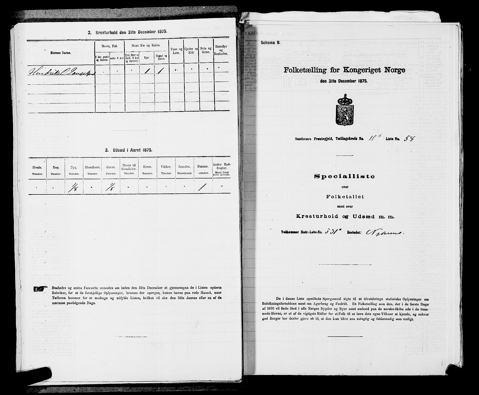 SAKO, 1875 census for 0629P Sandsvær, 1875, p. 1702