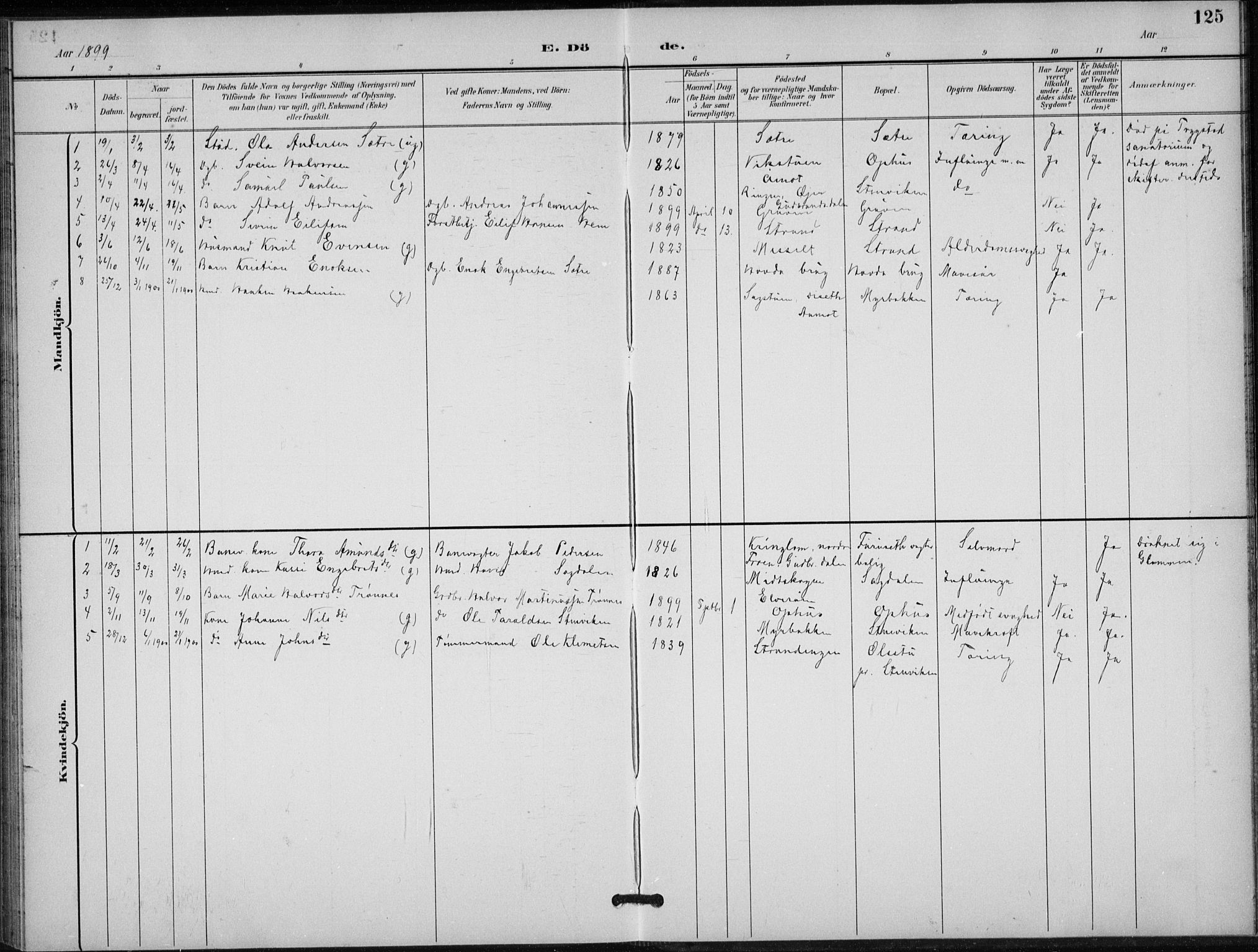 Stor-Elvdal prestekontor, AV/SAH-PREST-052/H/Ha/Hab/L0004: Parish register (copy) no. 4, 1895-1938, p. 125