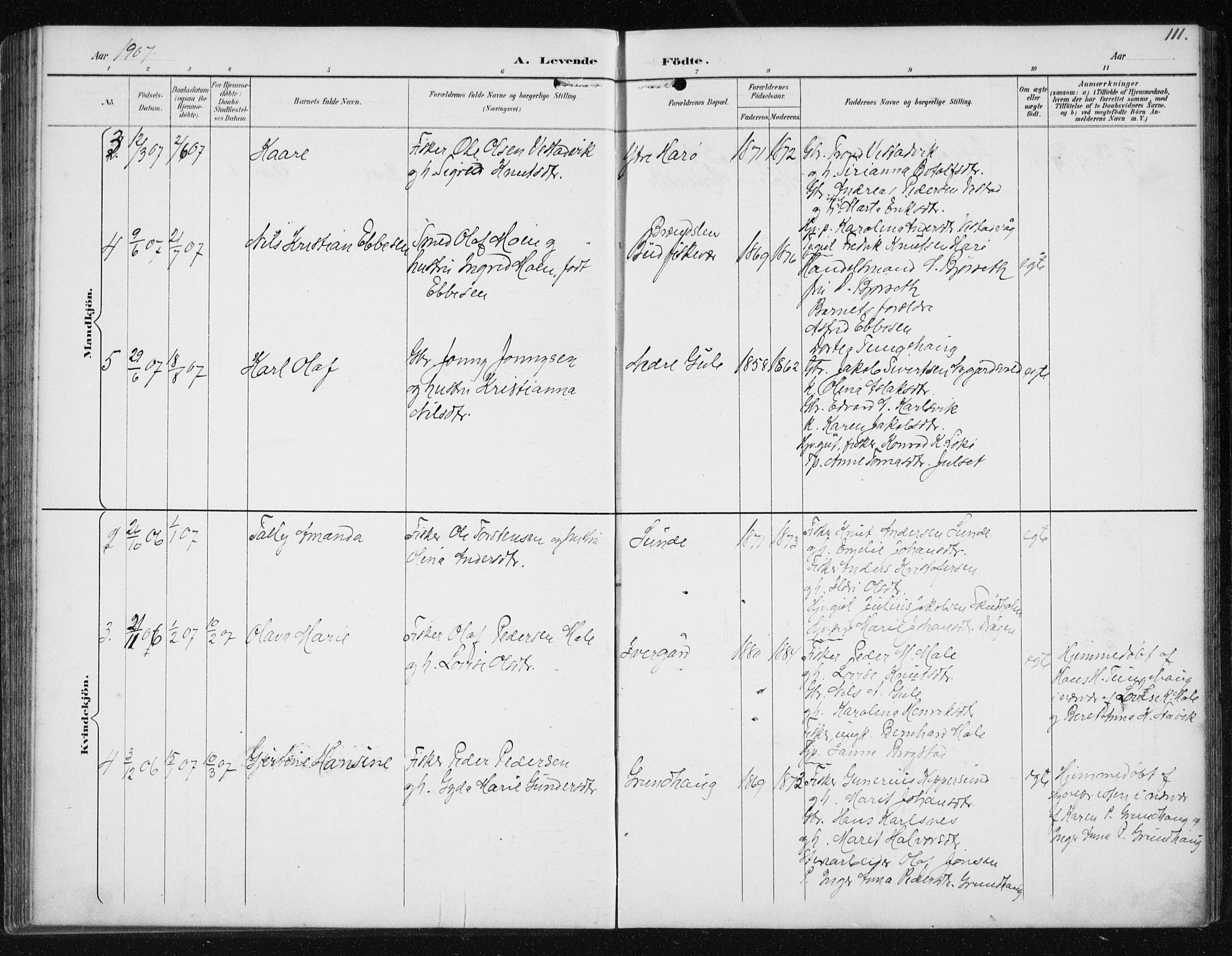 Ministerialprotokoller, klokkerbøker og fødselsregistre - Møre og Romsdal, AV/SAT-A-1454/566/L0773: Parish register (copy) no. 566C02, 1892-1909, p. 111