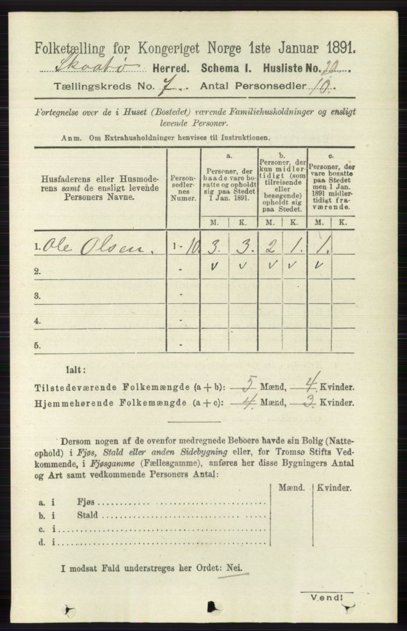 RA, 1891 census for 0815 Skåtøy, 1891, p. 3017