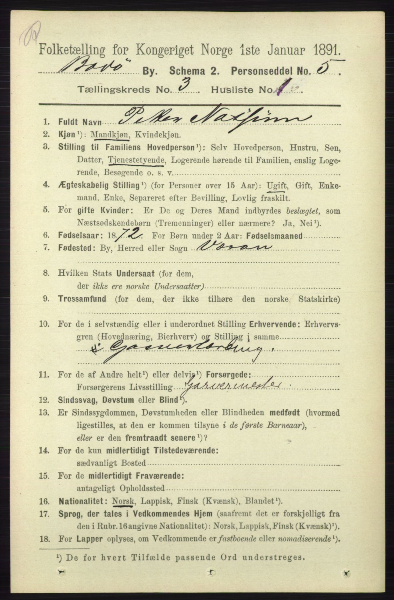 RA, 1891 census for 1804 Bodø, 1891, p. 2016