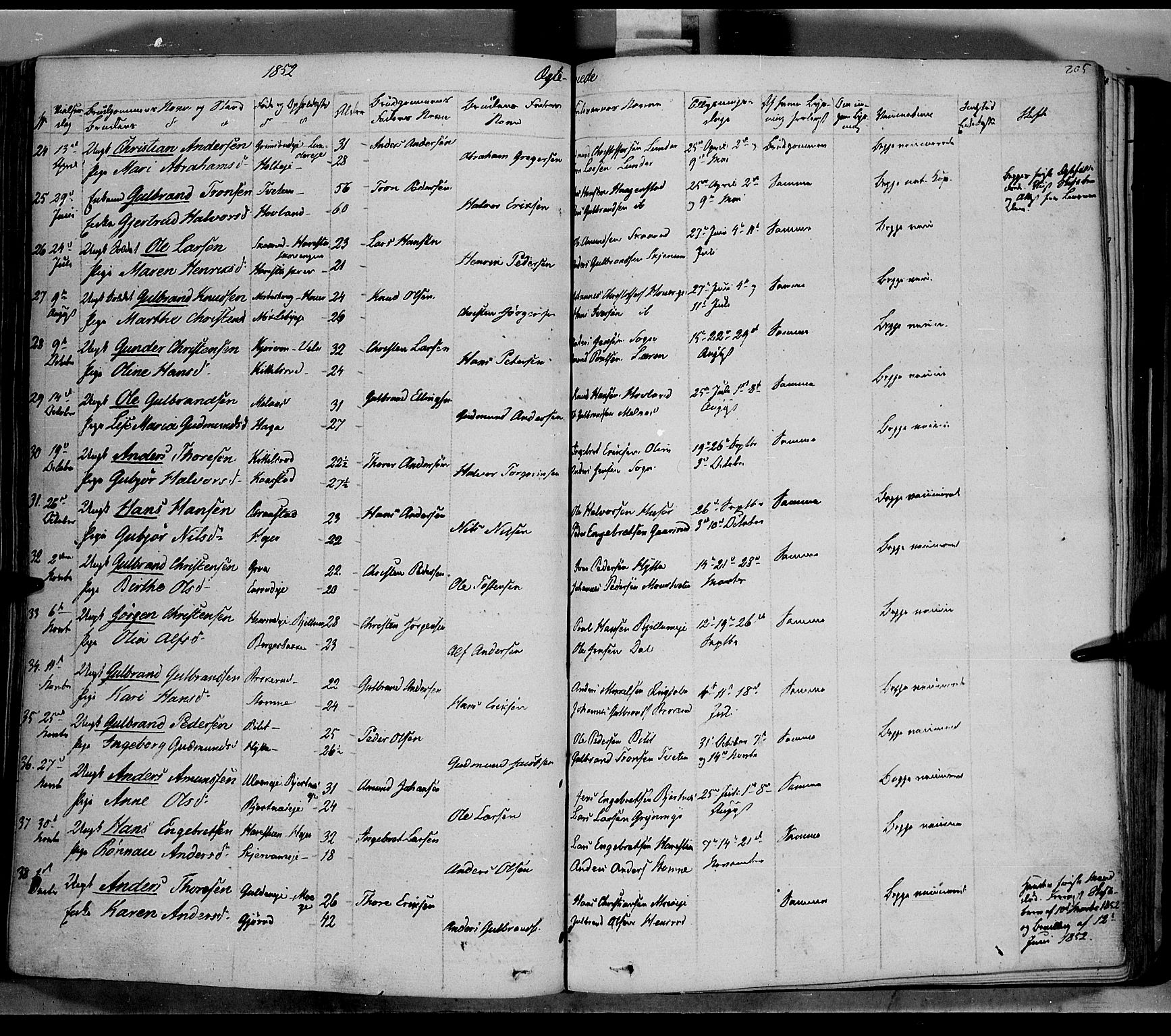 Jevnaker prestekontor, SAH/PREST-116/H/Ha/Haa/L0006: Parish register (official) no. 6, 1837-1857, p. 205