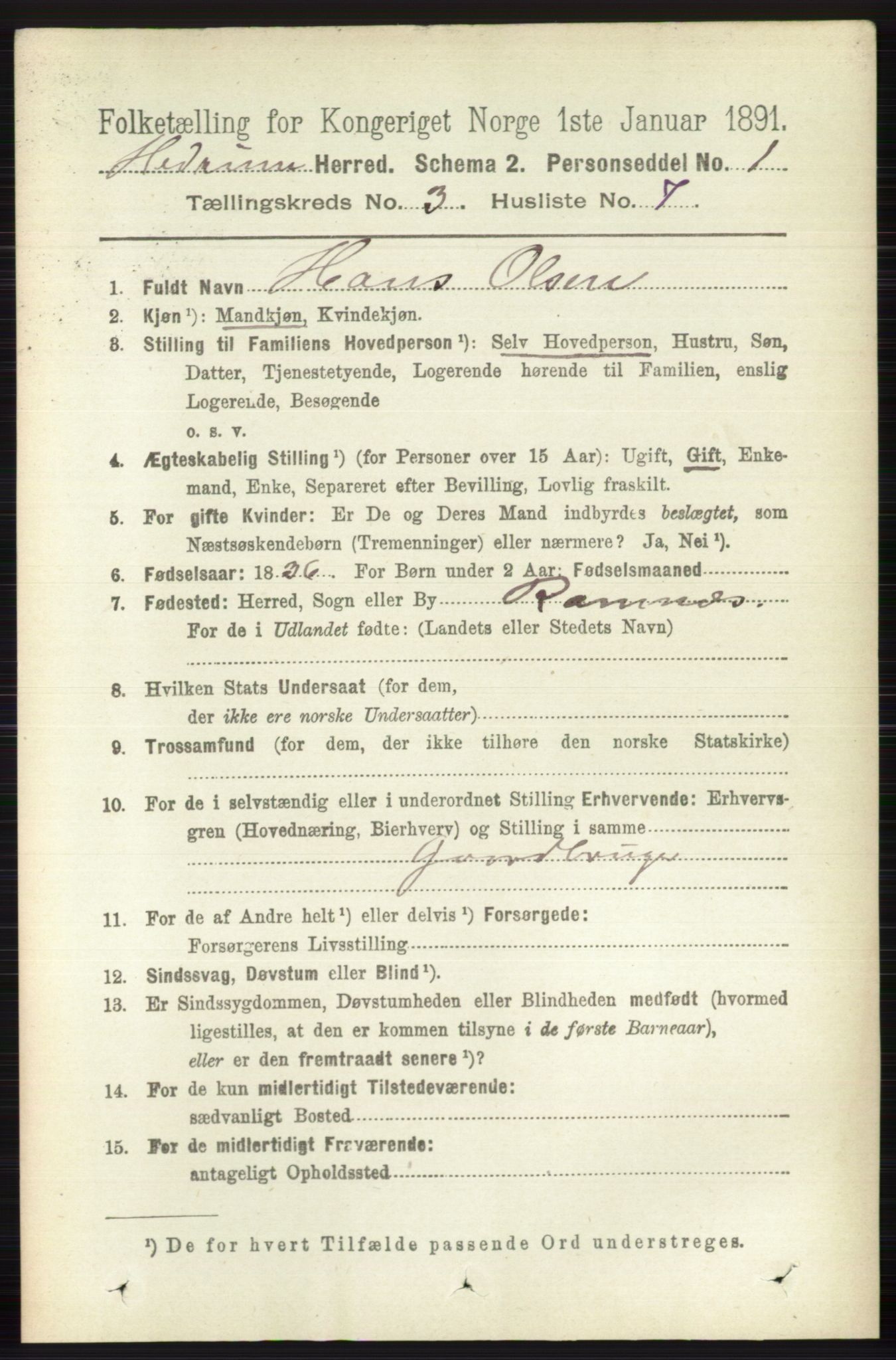 RA, 1891 census for 0727 Hedrum, 1891, p. 1005