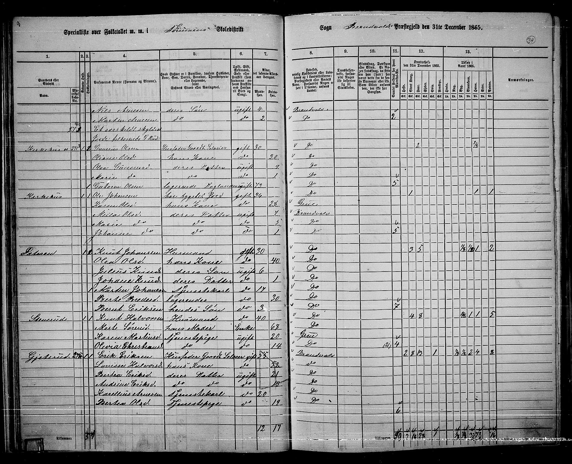 RA, 1865 census for Brandval, 1865, p. 33