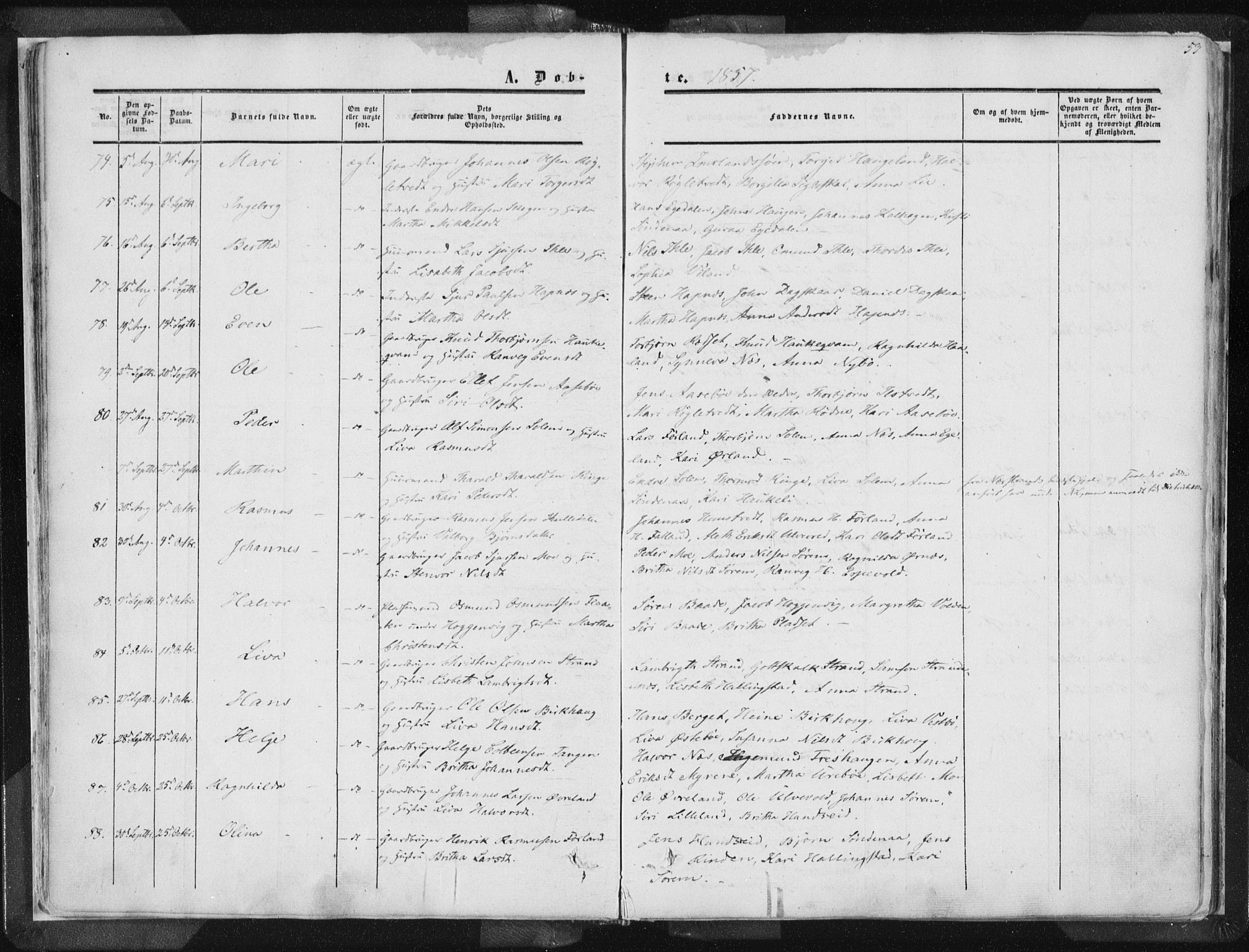 Vikedal sokneprestkontor, AV/SAST-A-101840/01/IV: Parish register (official) no. A 6.1, 1851-1867, p. 53