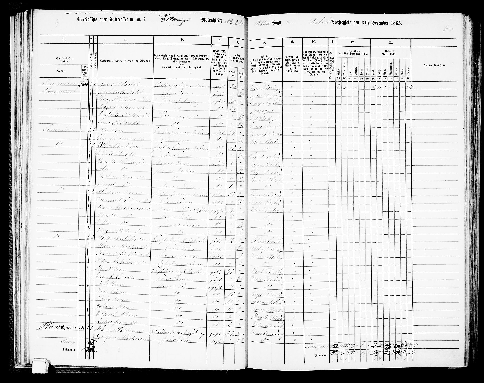 RA, 1865 census for Botne/Botne og Hillestad, 1865, p. 49