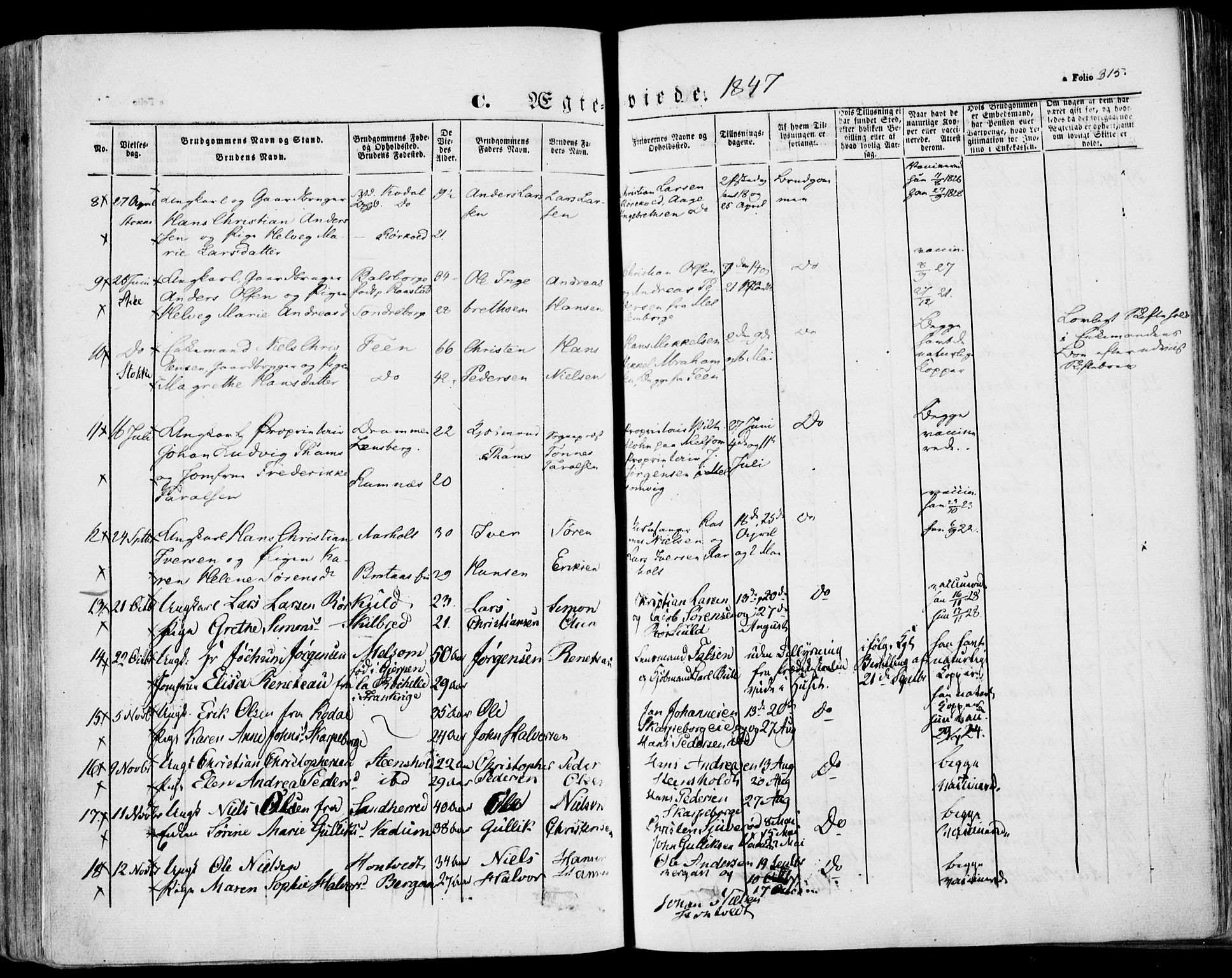 Stokke kirkebøker, AV/SAKO-A-320/F/Fa/L0007: Parish register (official) no. I 7, 1844-1857, p. 315