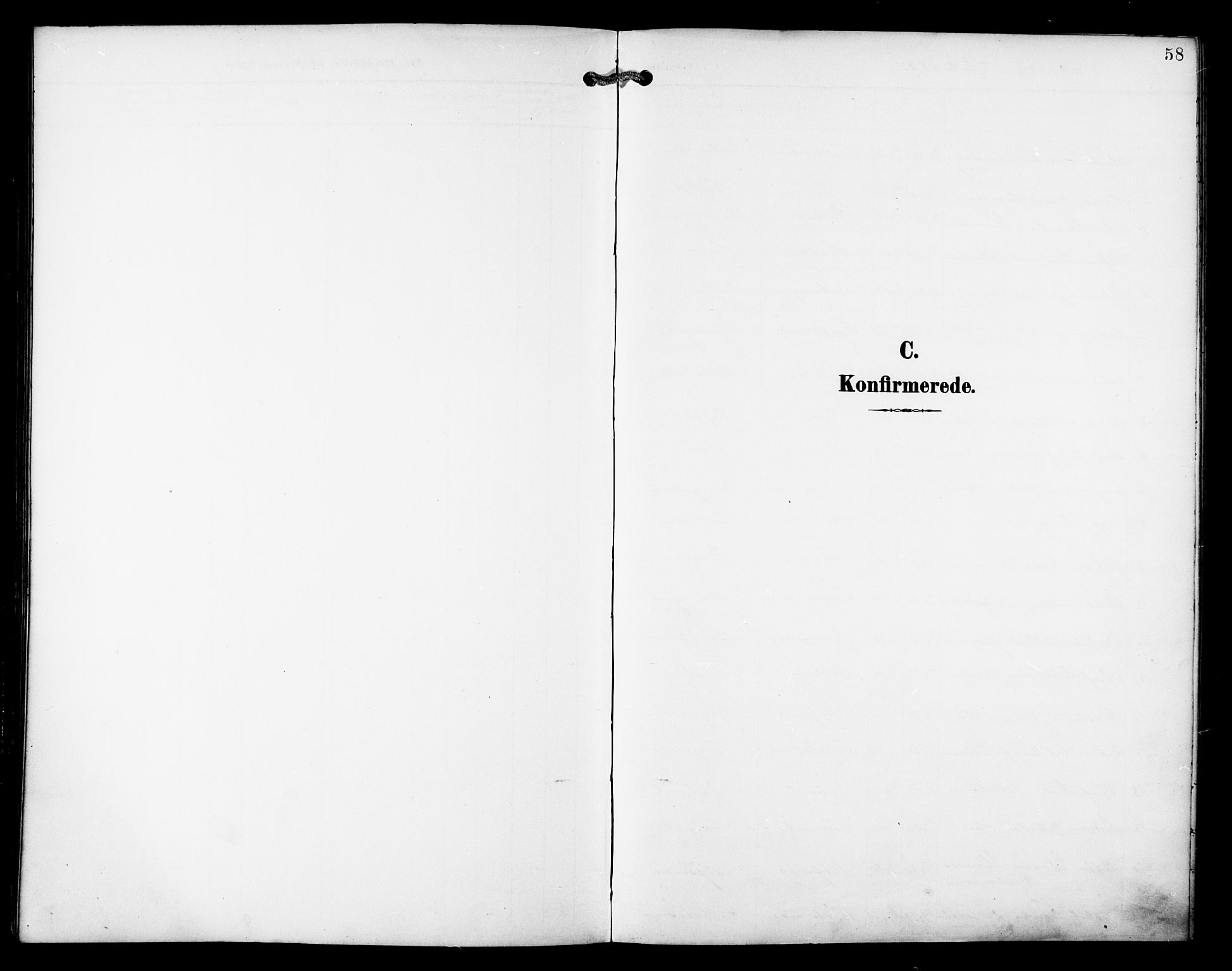 Ministerialprotokoller, klokkerbøker og fødselsregistre - Nordland, AV/SAT-A-1459/810/L0152: Parish register (official) no. 810A11, 1895-1899, p. 58