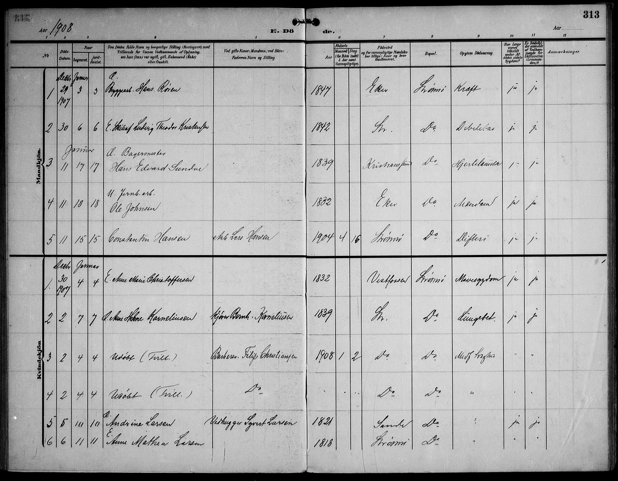 Strømsø kirkebøker, AV/SAKO-A-246/F/Fa/L0026: Parish register (official) no. I 26, 1905-1914, p. 313