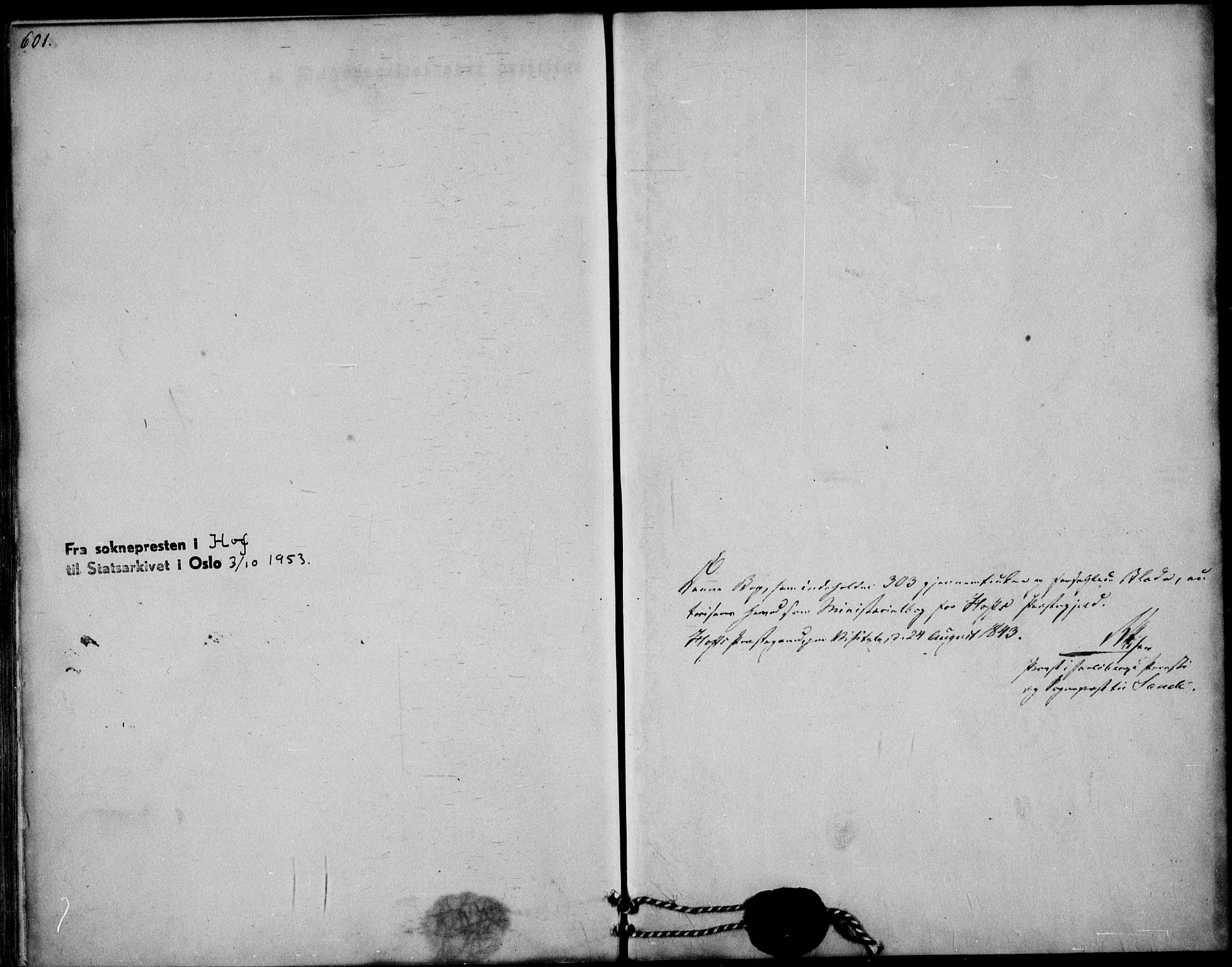 Hof kirkebøker, AV/SAKO-A-64/F/Fa/L0005: Parish register (official) no. I 5, 1844-1851, p. 601-602