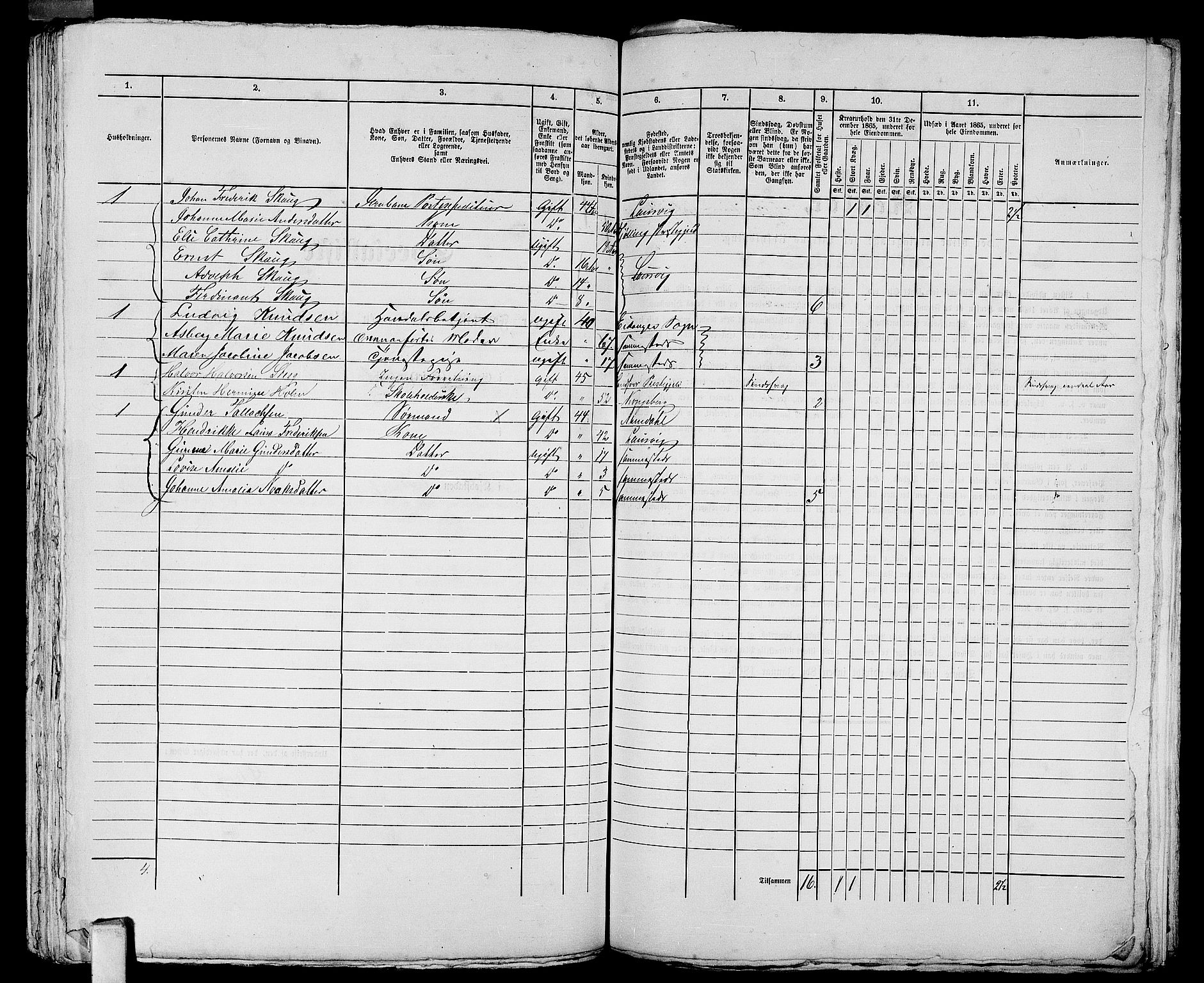 RA, 1865 census for Larvik, 1865, p. 1066