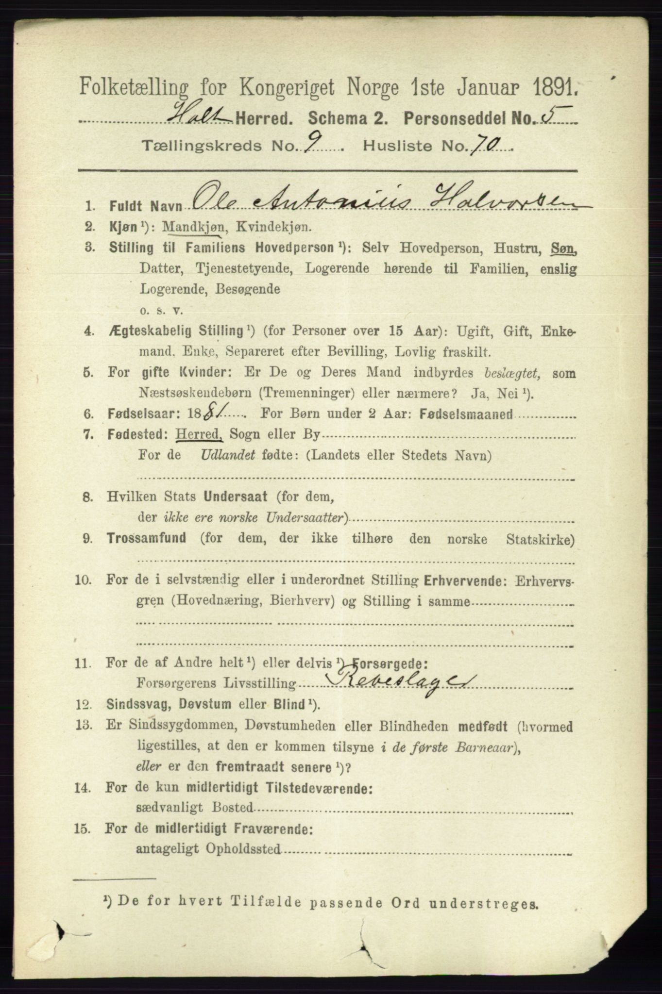 RA, 1891 census for 0914 Holt, 1891, p. 4363