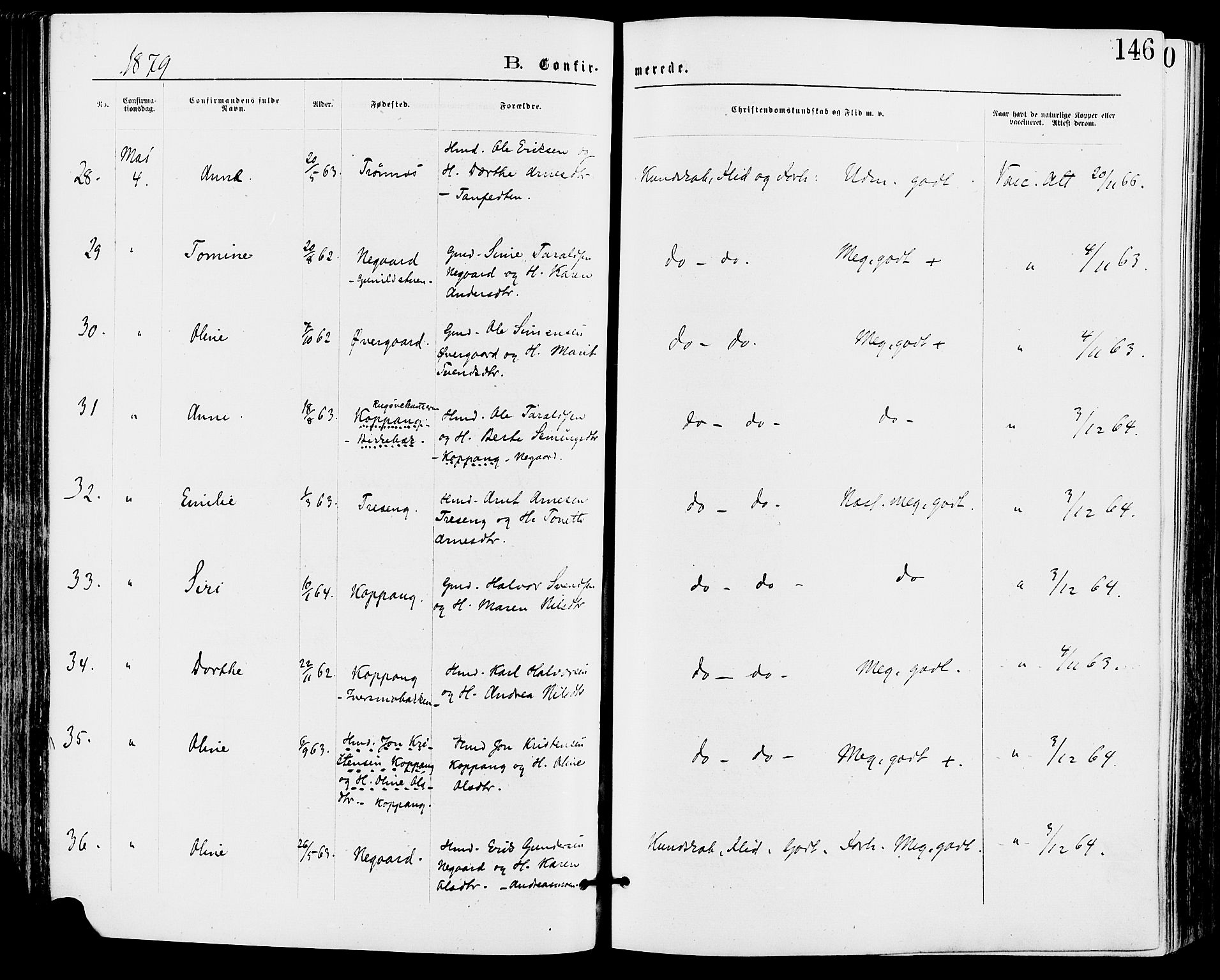 Stor-Elvdal prestekontor, SAH/PREST-052/H/Ha/Haa/L0001: Parish register (official) no. 1, 1871-1882, p. 146
