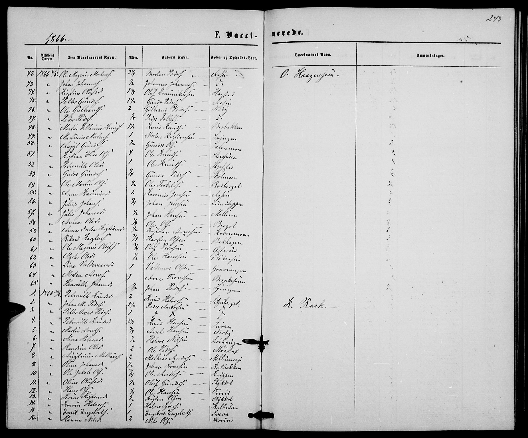 Elverum prestekontor, AV/SAH-PREST-044/H/Ha/Hab/L0004: Parish register (copy) no. 4, 1866-1874, p. 243