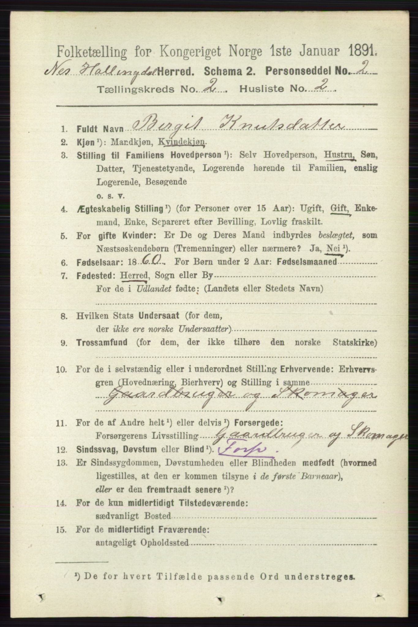 RA, 1891 census for 0616 Nes, 1891, p. 998