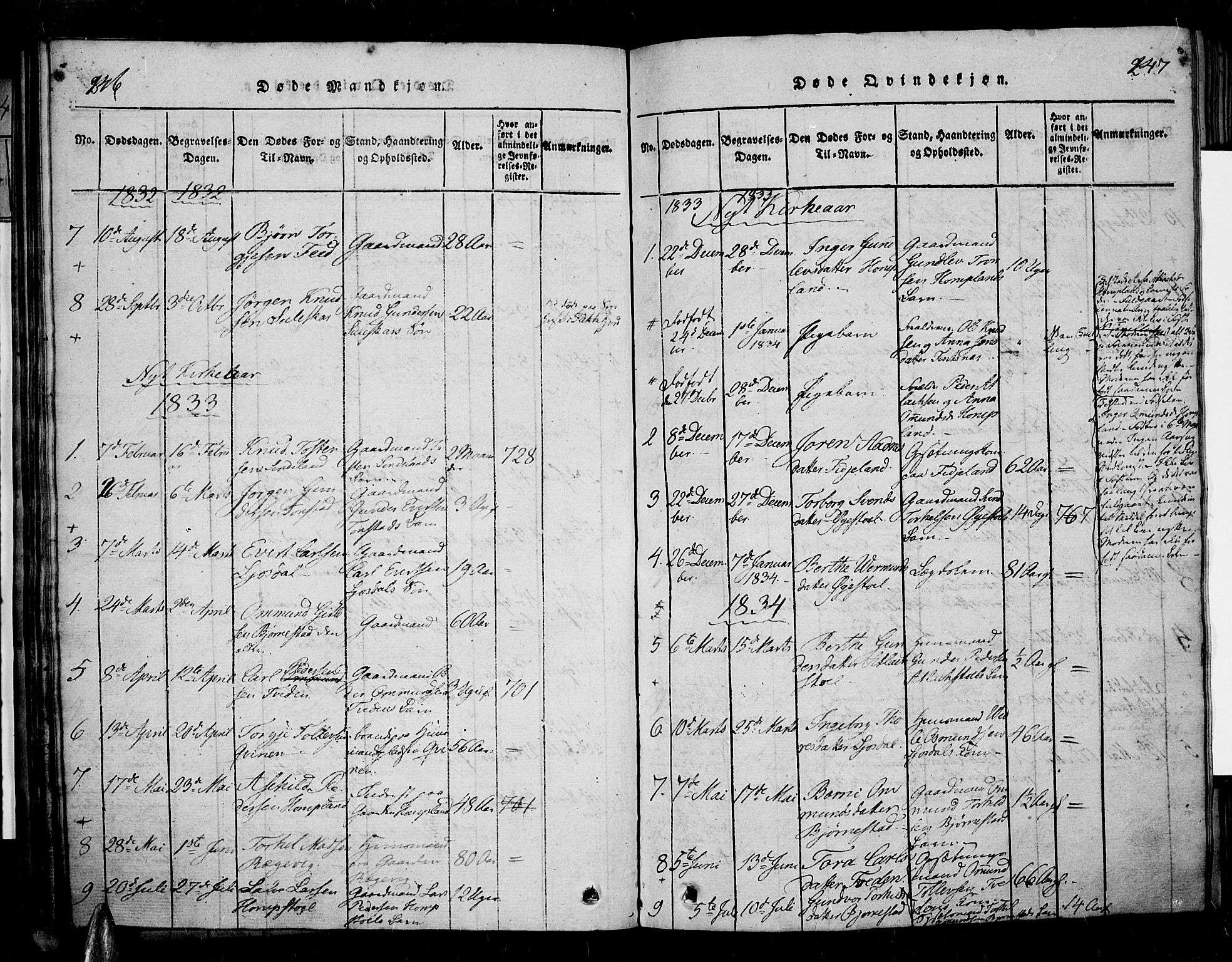 Sirdal sokneprestkontor, AV/SAK-1111-0036/F/Fa/Fab/L0001: Parish register (official) no. A 1, 1815-1834, p. 246-247