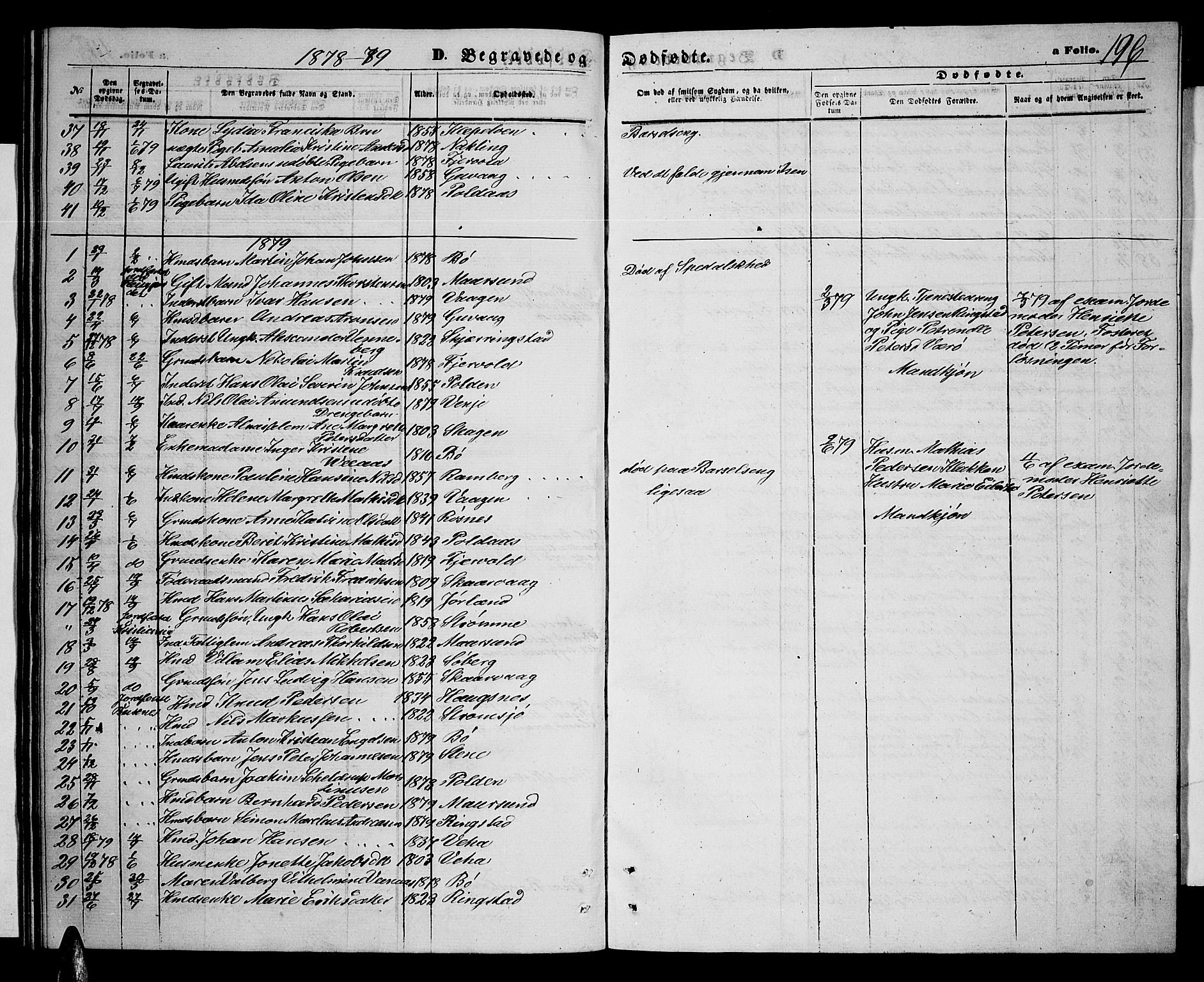 Ministerialprotokoller, klokkerbøker og fødselsregistre - Nordland, AV/SAT-A-1459/891/L1314: Parish register (copy) no. 891C03, 1870-1885, p. 196