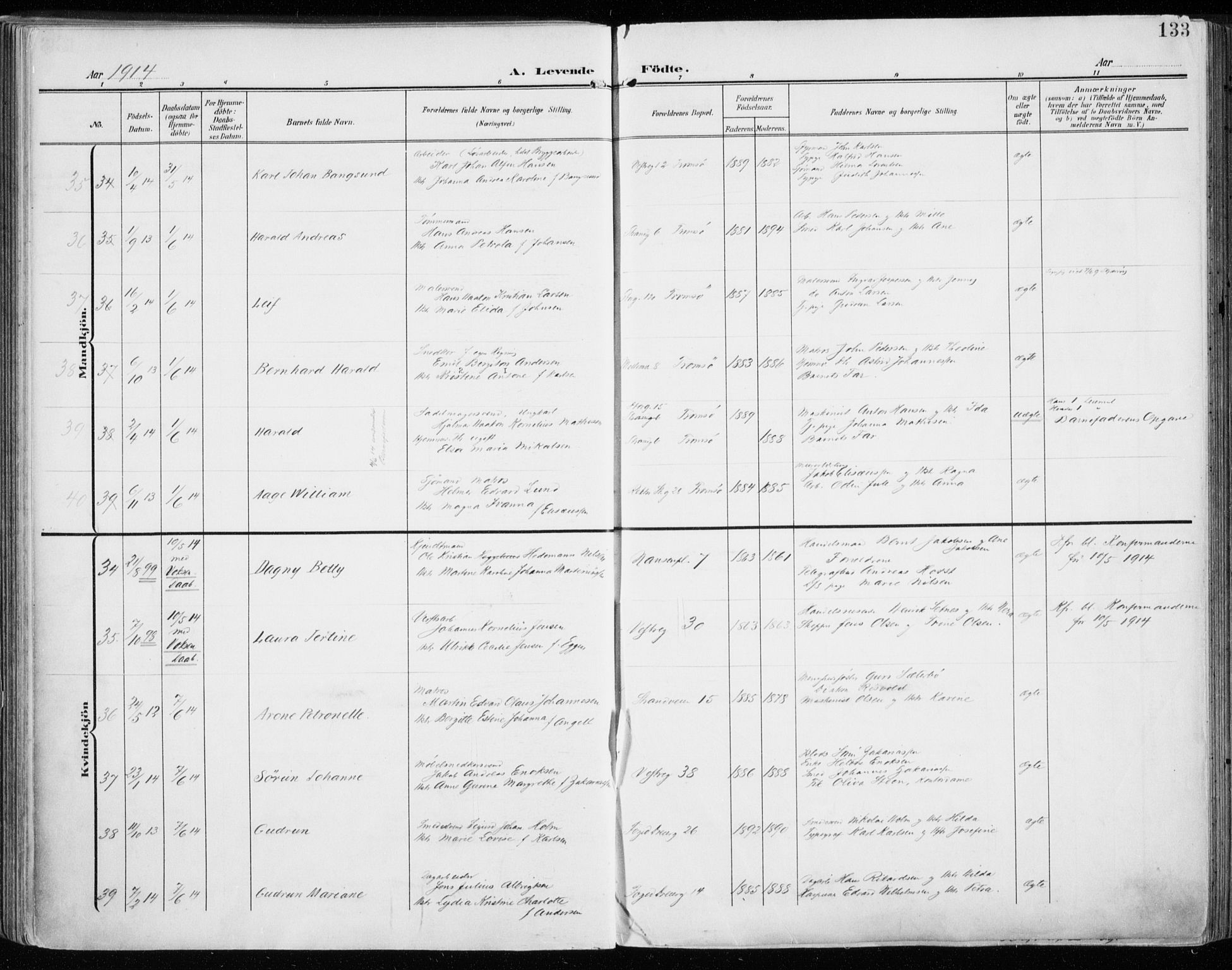 Tromsø sokneprestkontor/stiftsprosti/domprosti, SATØ/S-1343/G/Ga/L0017kirke: Parish register (official) no. 17, 1907-1917, p. 133