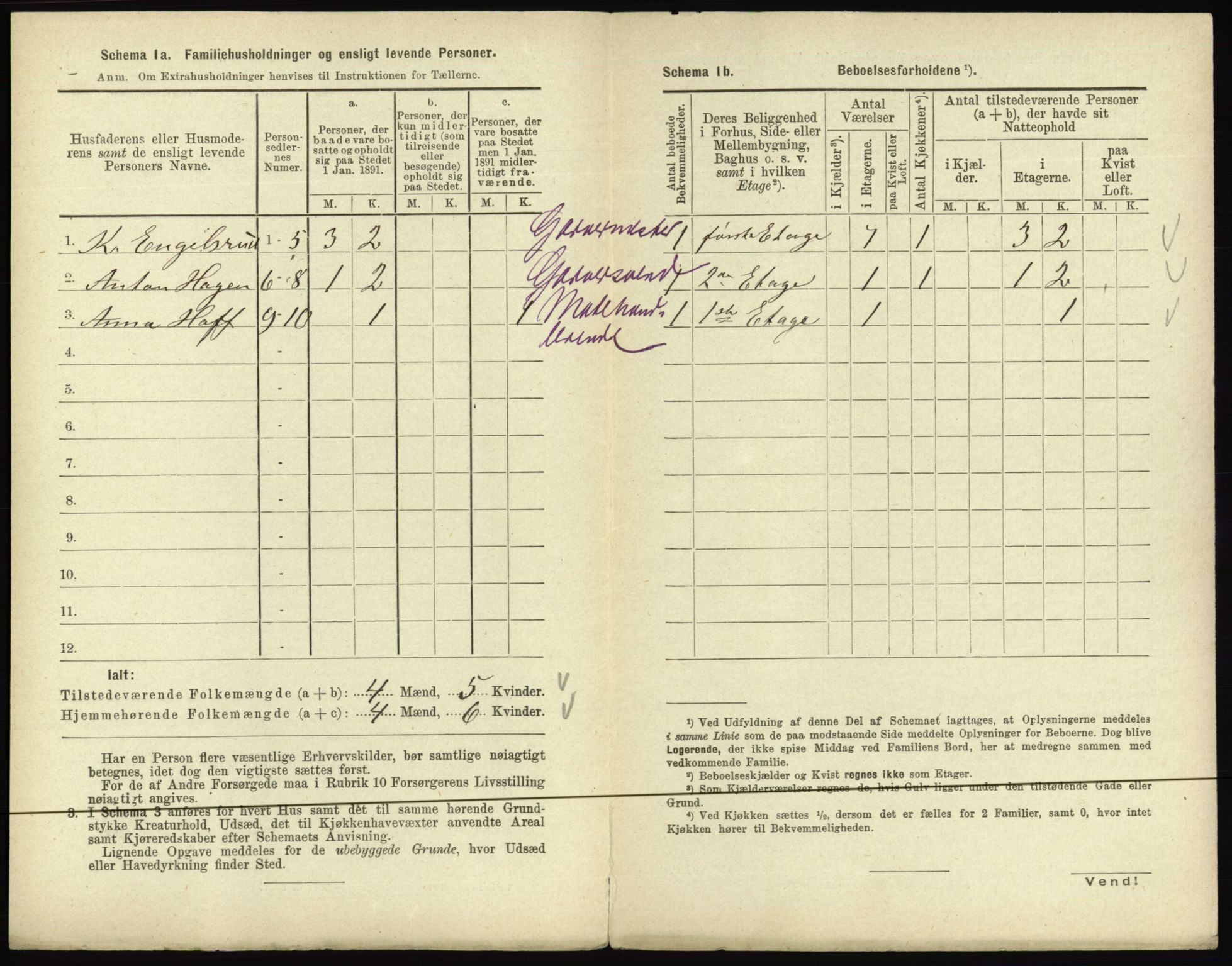 RA, 1891 census for 0501 Lillehammer, 1891, p. 226