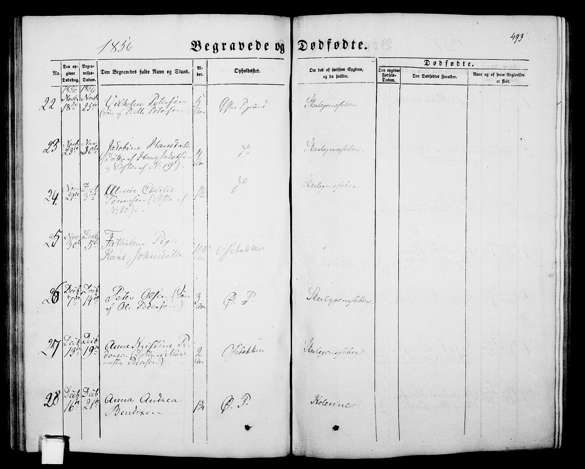 Porsgrunn kirkebøker , SAKO/A-104/G/Gb/L0004: Parish register (copy) no. II 4, 1853-1882, p. 493