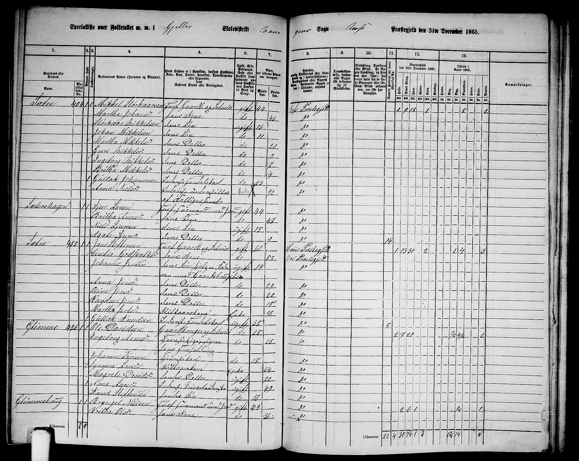 RA, 1865 census for Voss, 1865, p. 200